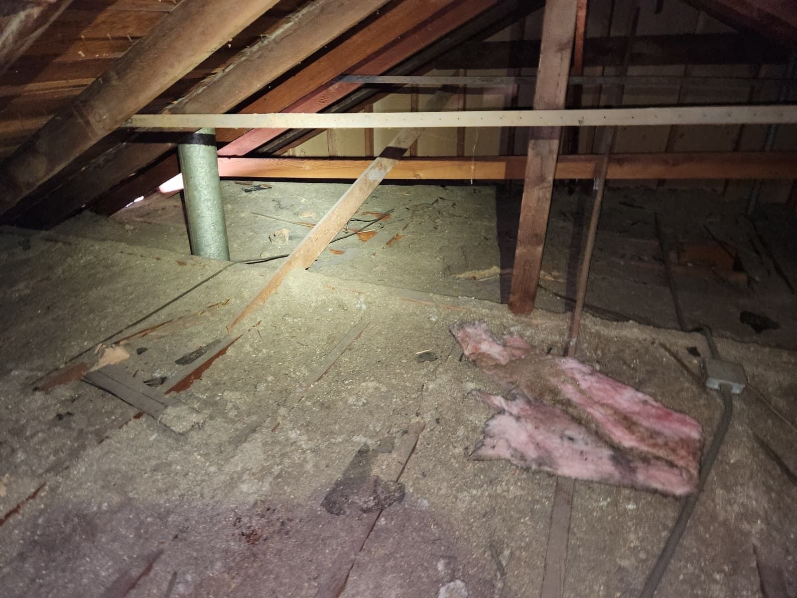 Upland attic and crawl space before work — detail of the condition on arrival