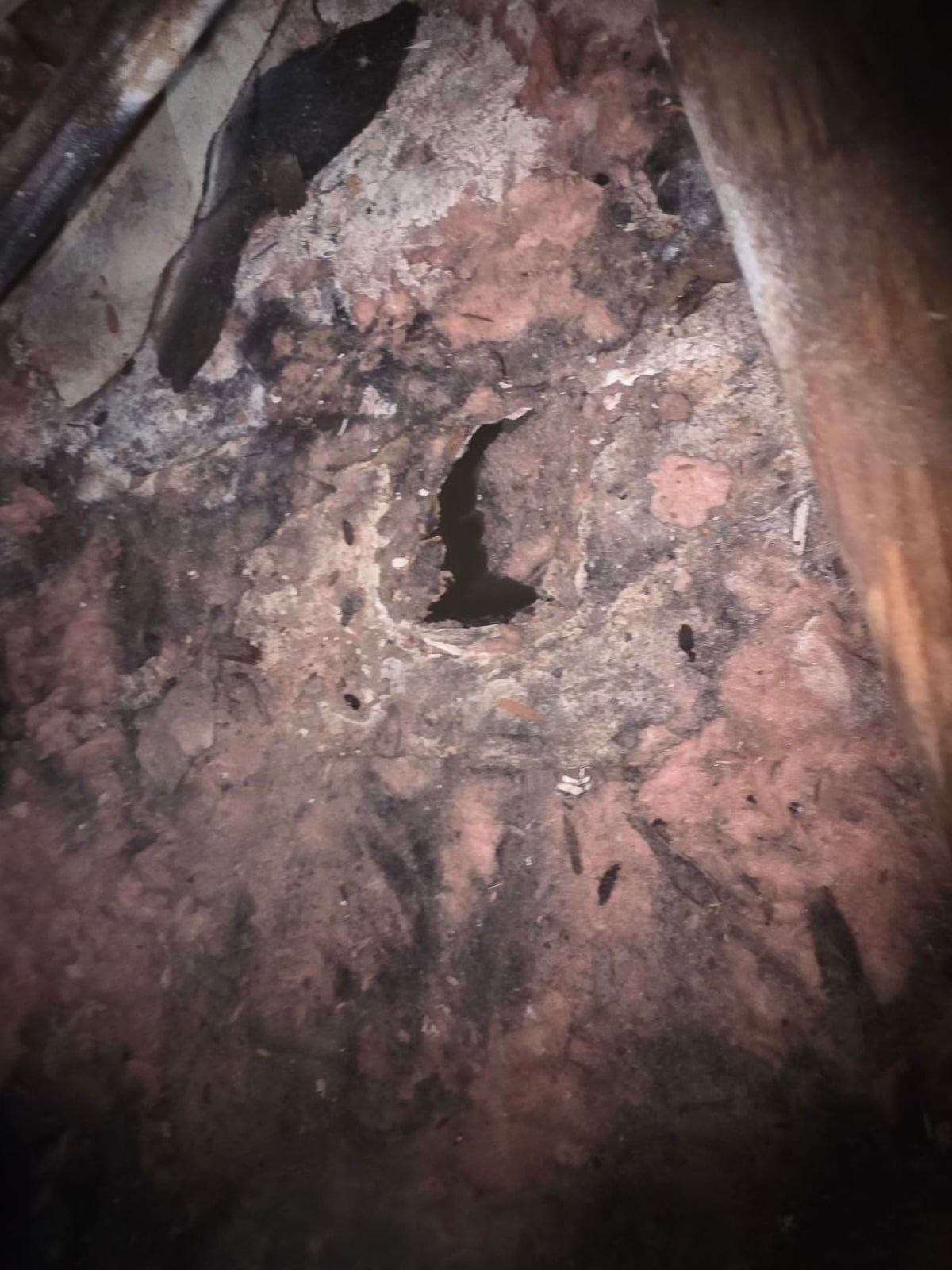 Walnut Creek attic before work — detail of the condition on arrival