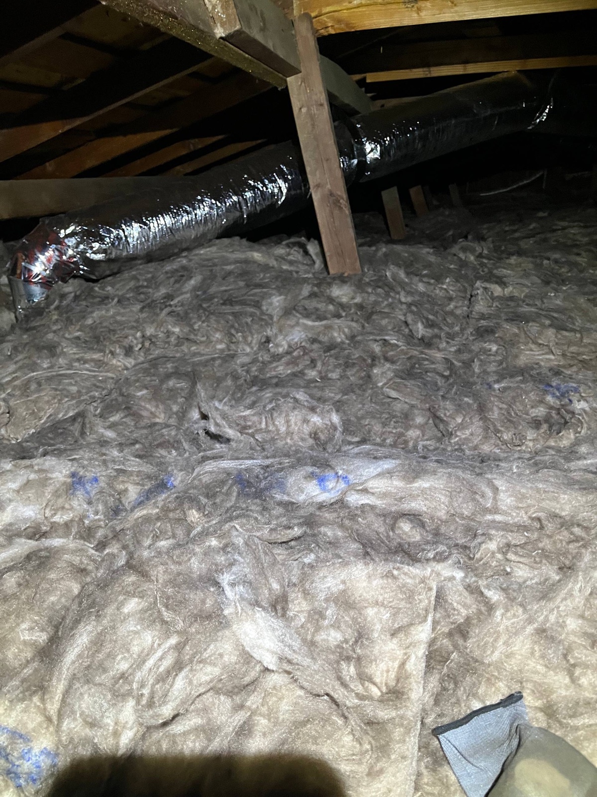 Walnut Creek attic during sealing and rodent proofing
