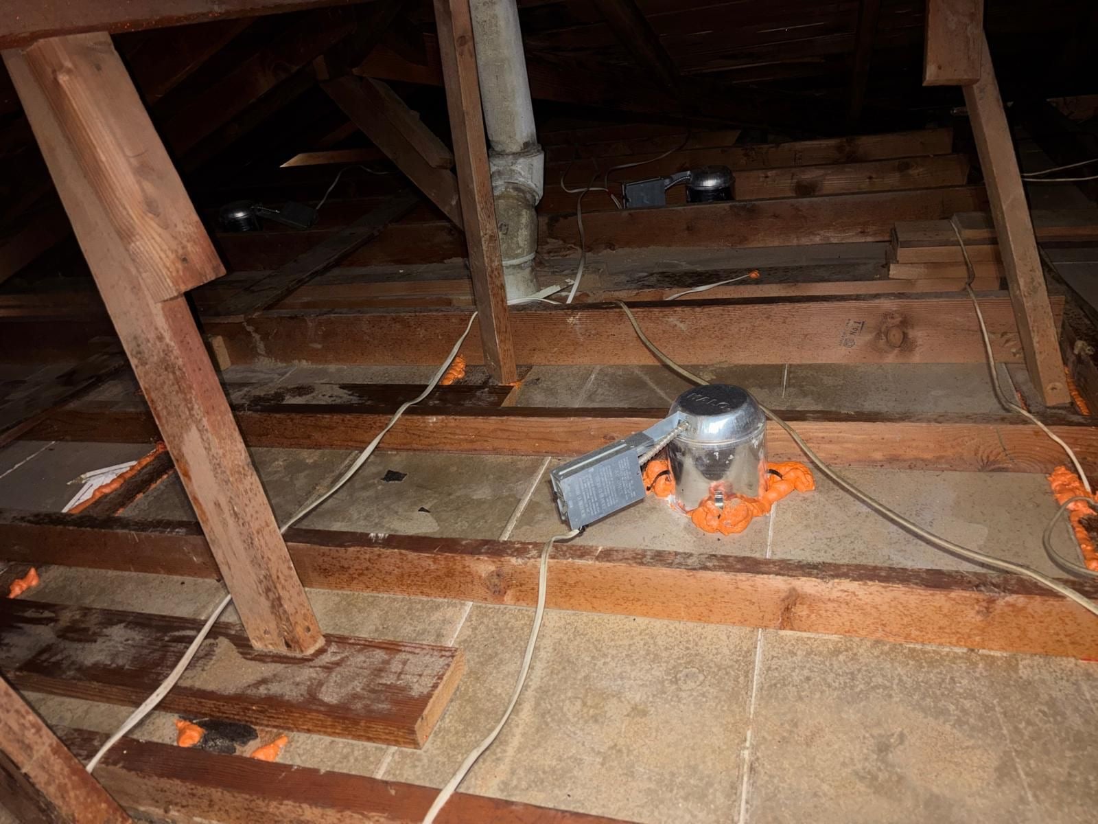 Downey attic during sealing and rodent proofing