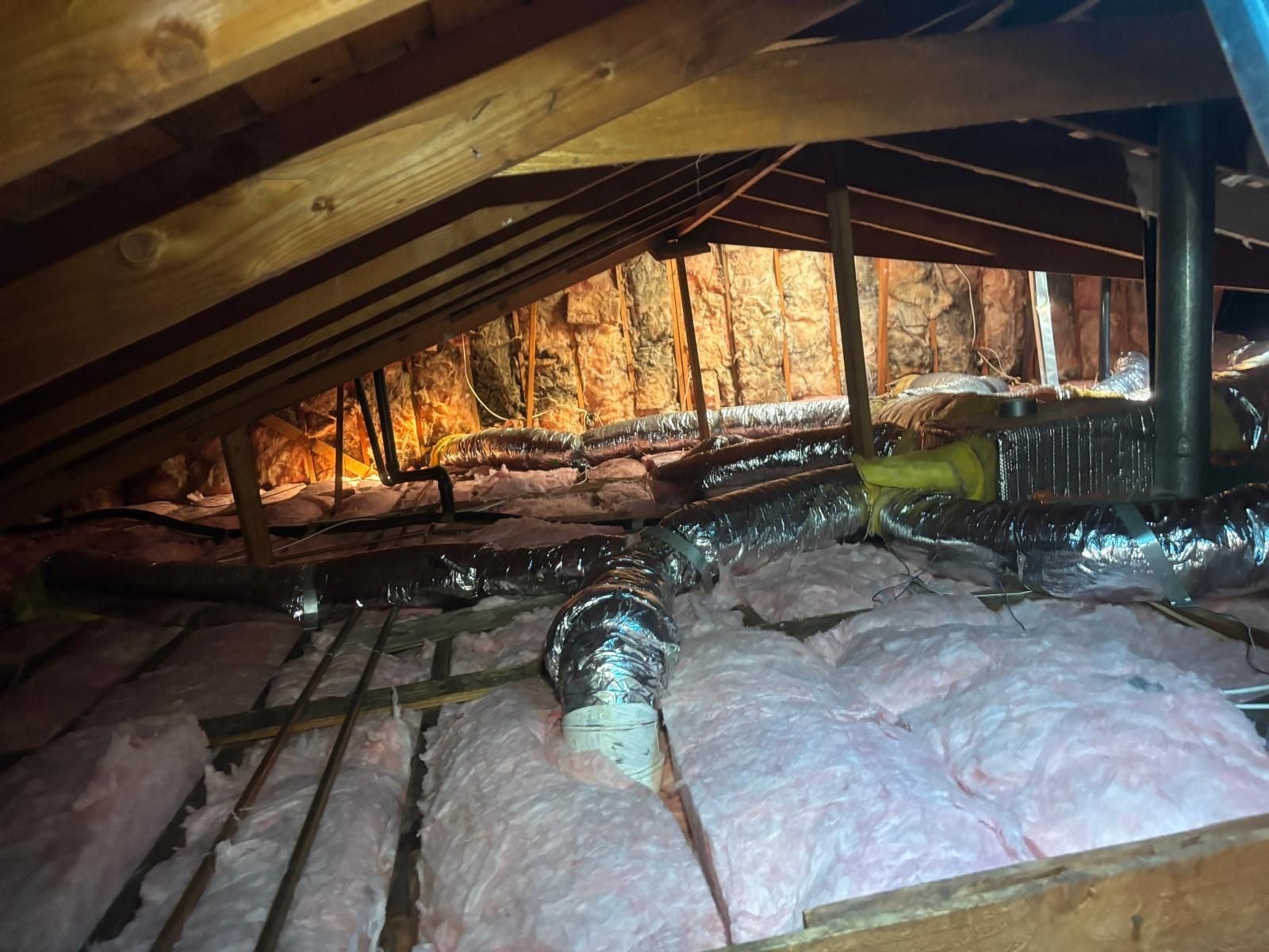 Attic Insulation Replacement and Rodent Proofing in Buena Park, CA