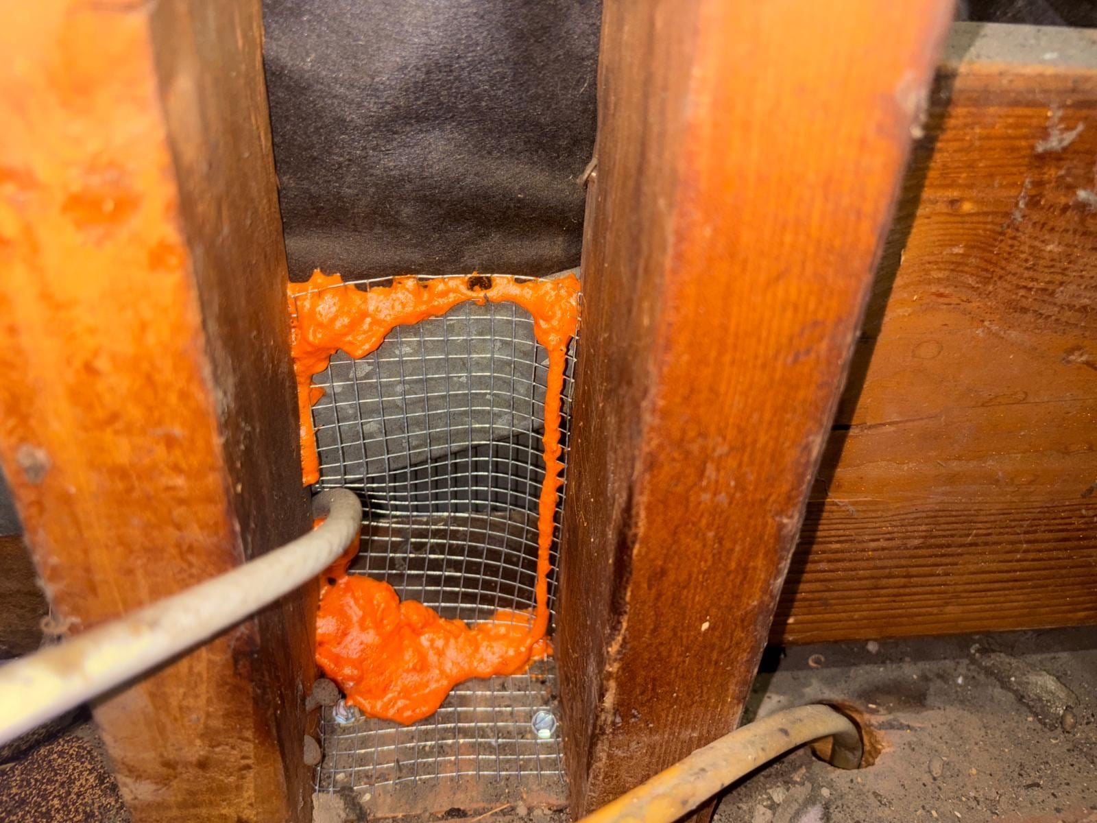 Early stage of the Buena Park attic job — clearing out