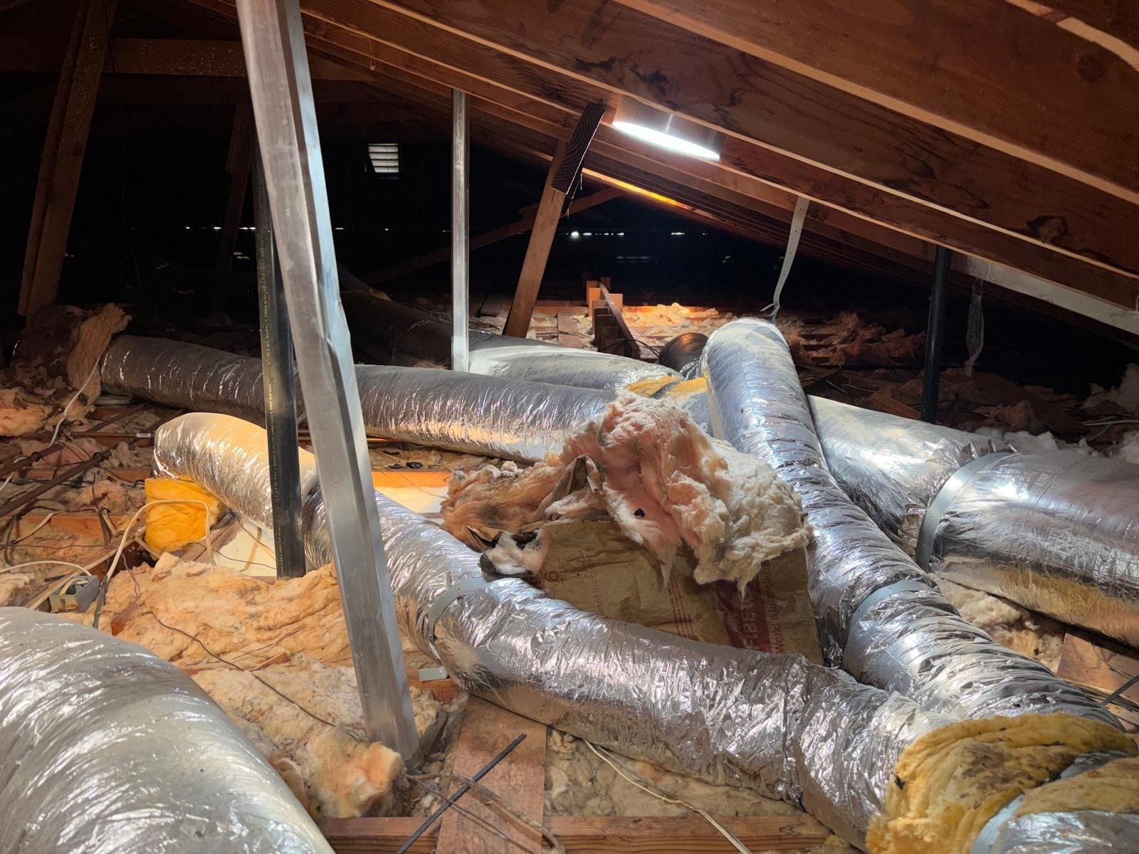 Buena Park attic during sealing and rodent proofing