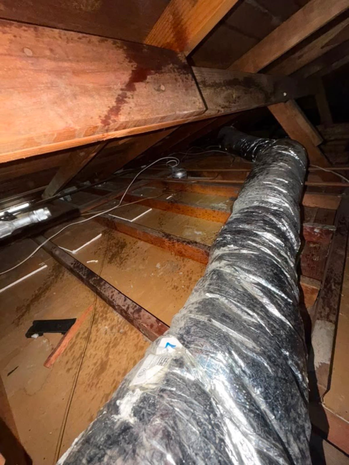Buena Park attic during sealing and rodent proofing