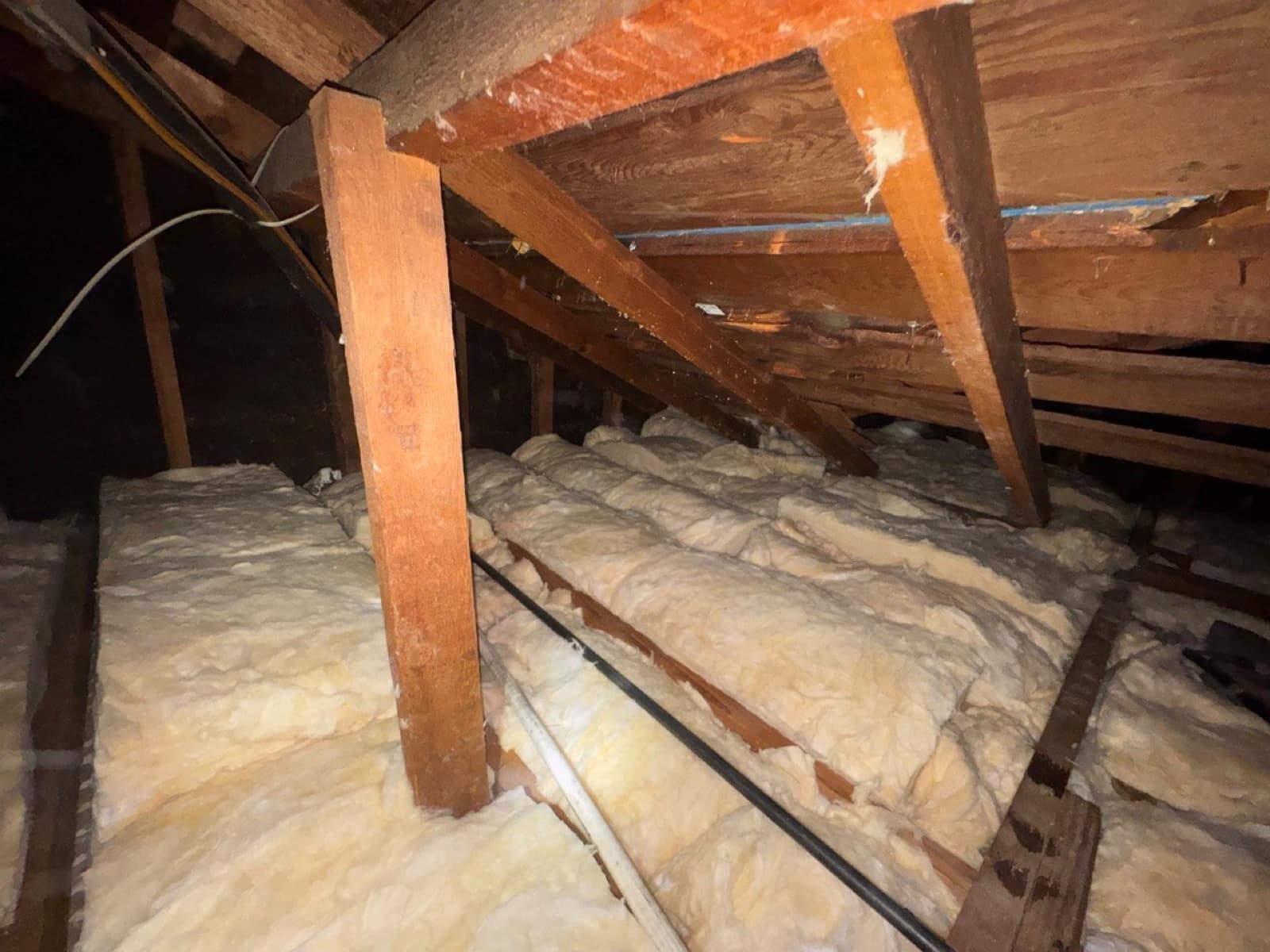 Attic Insulation Replacement and Rodent Proofing in Burbank, CA