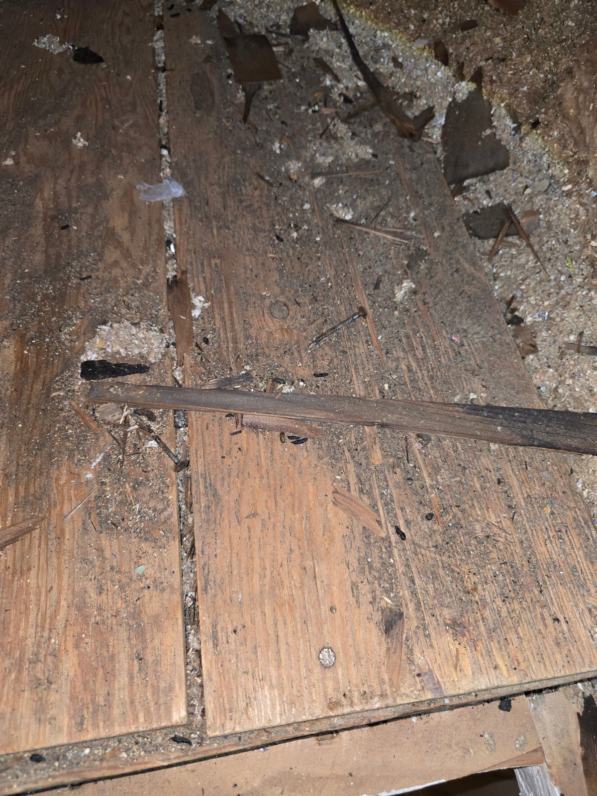 Burbank attic before work began, showing the condition the crew found