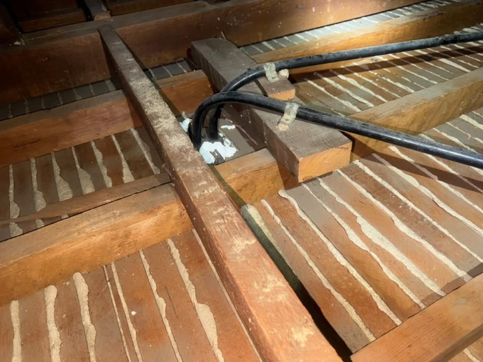Burbank attic during sealing and rodent proofing