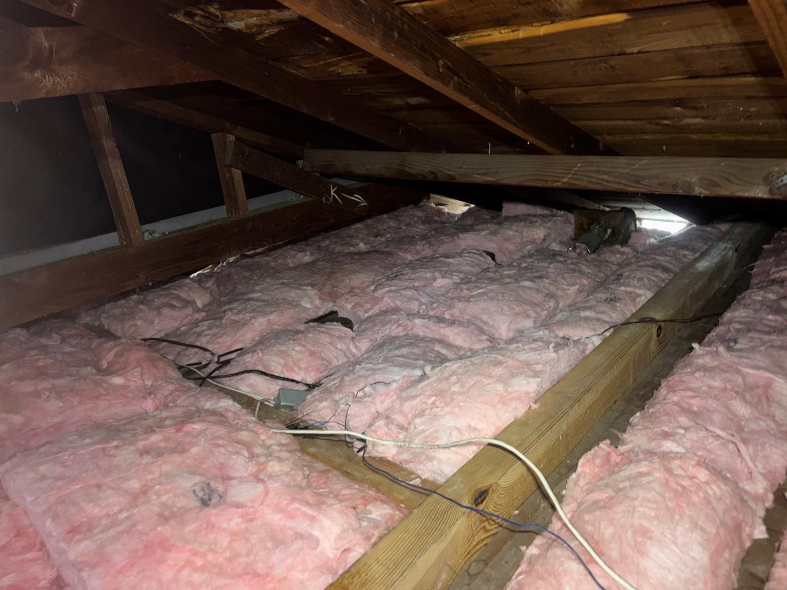 Attic Insulation Replacement and Rodent Proofing in Lawndale, CA