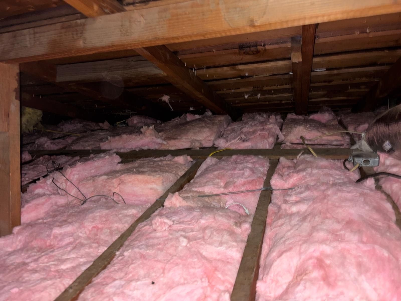 Attic Insulation Replacement and Rodent Proofing in Long Beach, CA