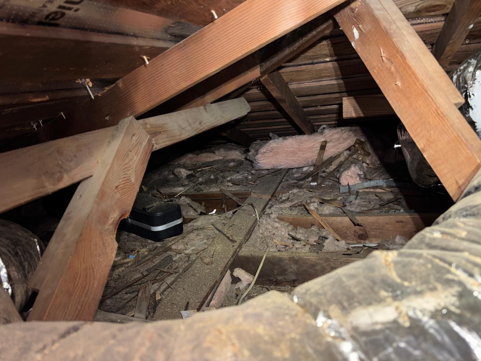 Long Beach attic before work began, showing the condition the crew found