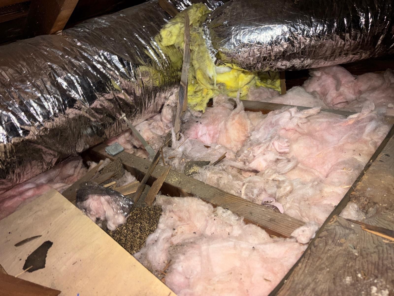 Long Beach attic before work — detail of the condition on arrival