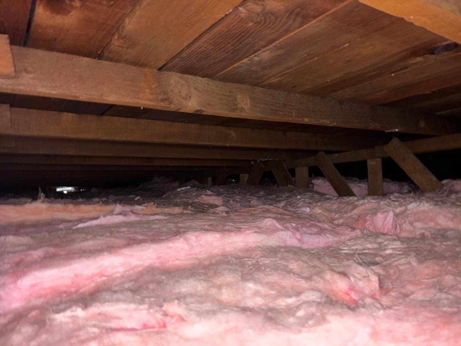 Attic Insulation Replacement and Rodent Proofing in Los Angeles, CA