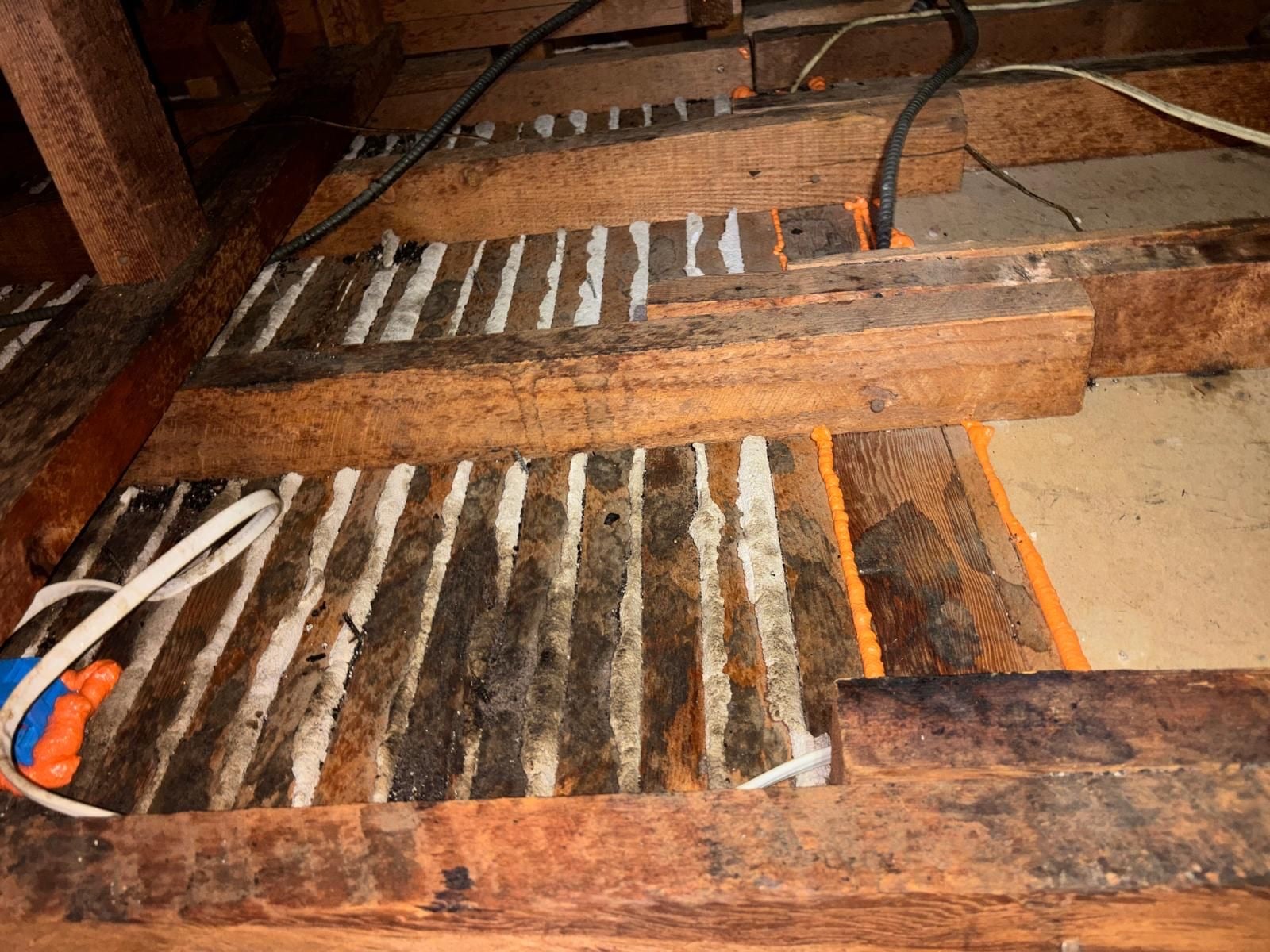 Los Angeles attic during sealing and rodent proofing