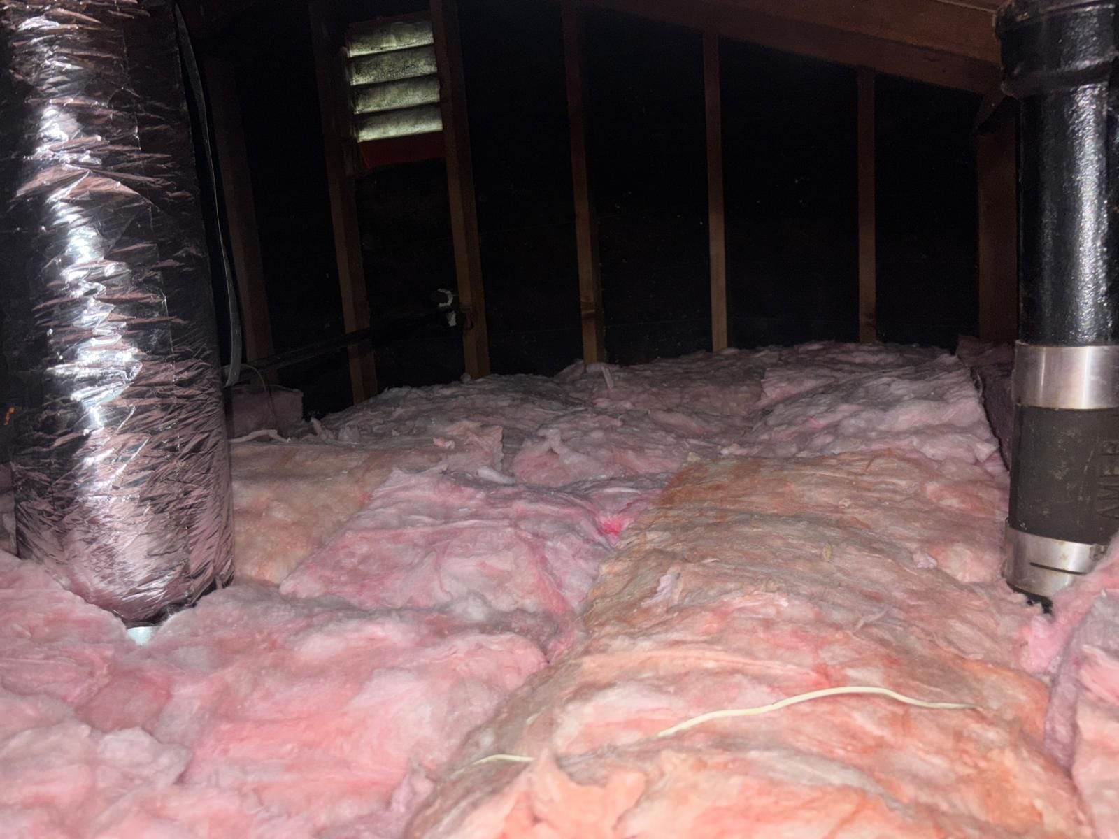 Attic Insulation Replacement and Rodent Proofing in Los Angeles, CA