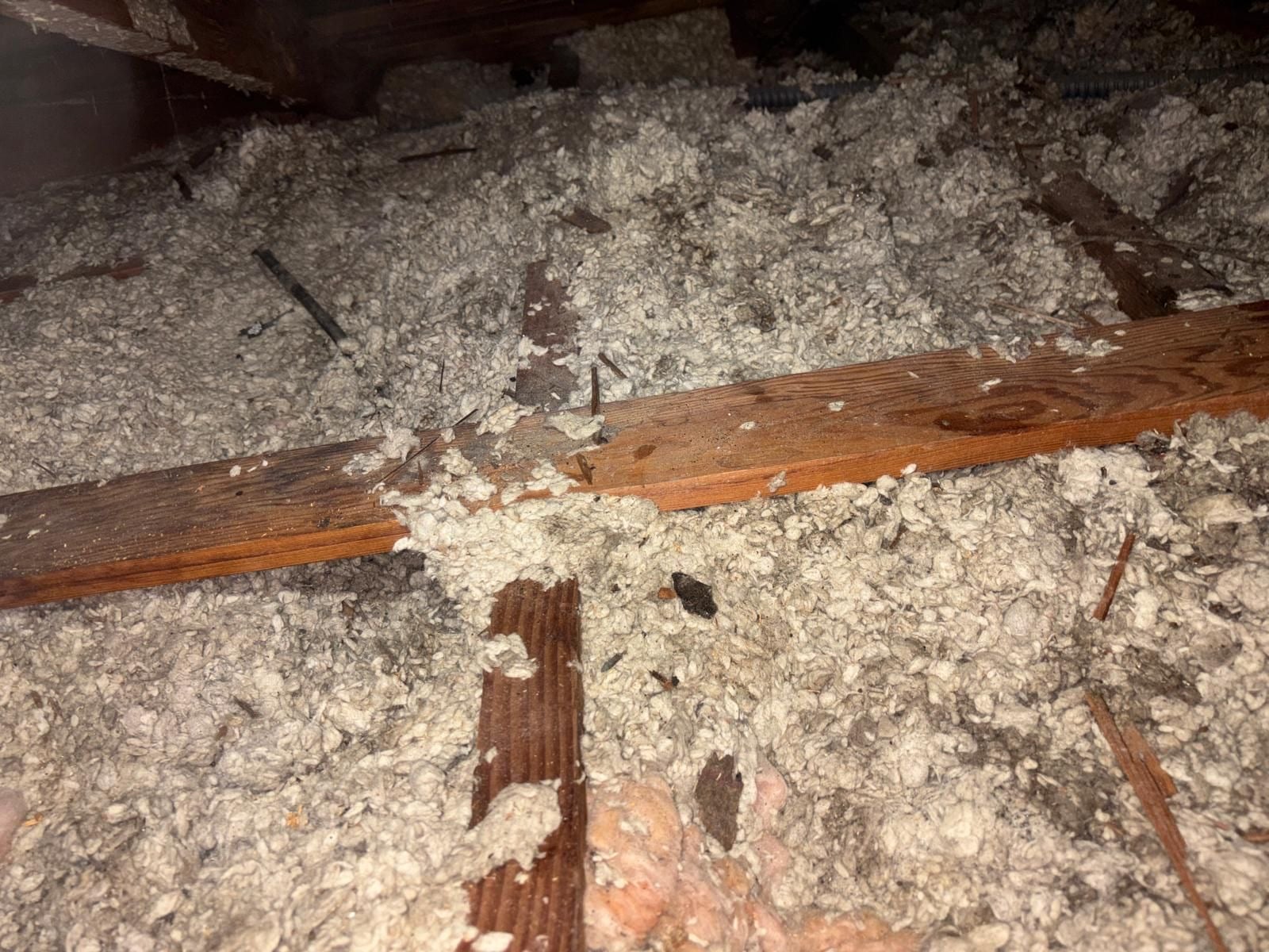 Early stage of the Los Angeles attic job — clearing out