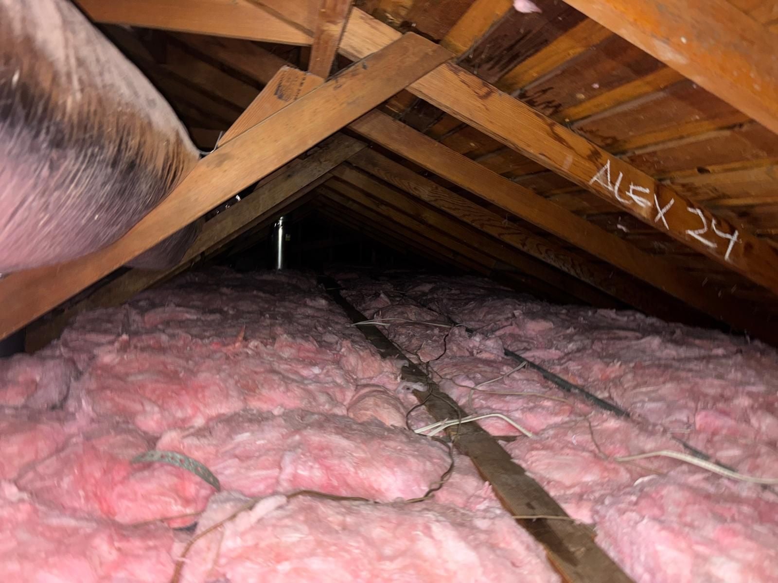 Attic Insulation Replacement and Rodent Proofing in Los Angeles, CA