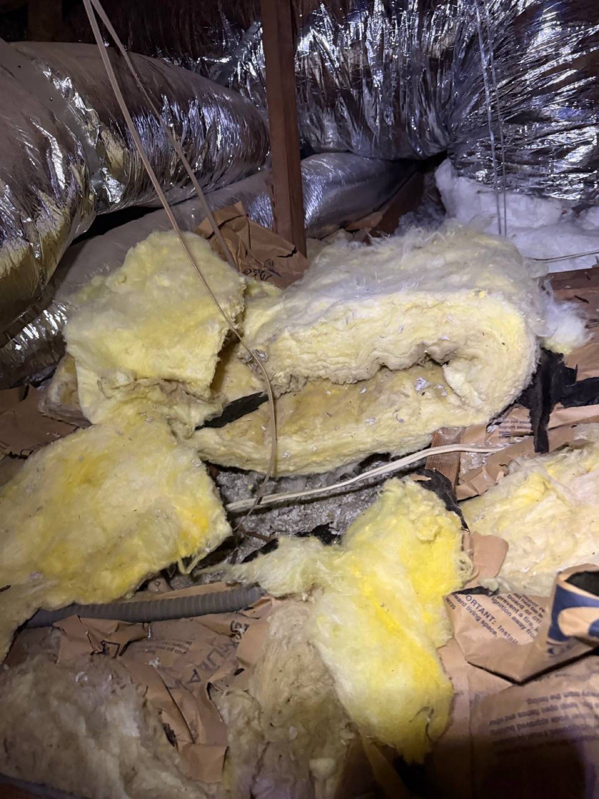 Los Angeles attic before work — detail of the condition on arrival