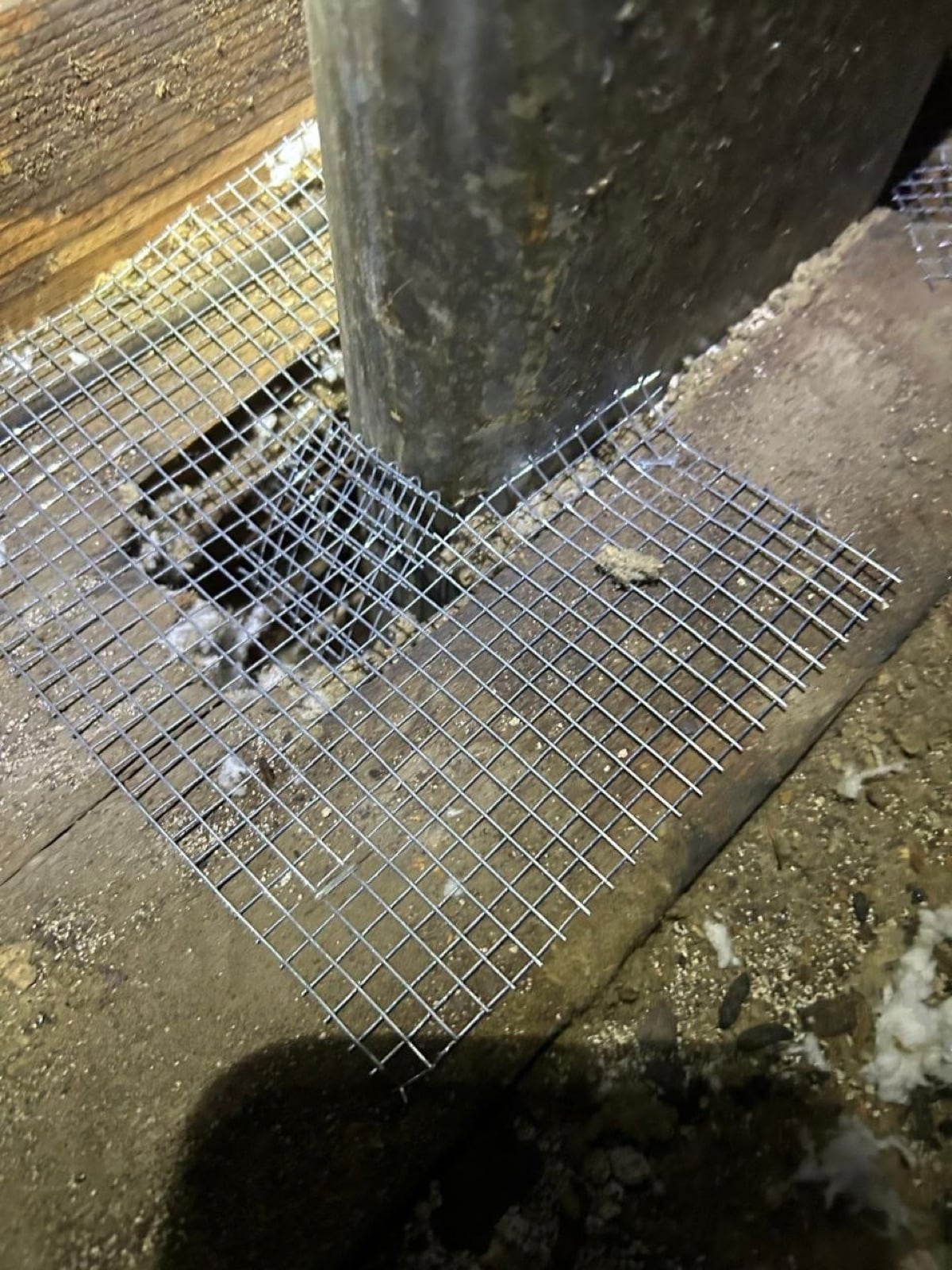 Martinez attic during sealing and rodent proofing