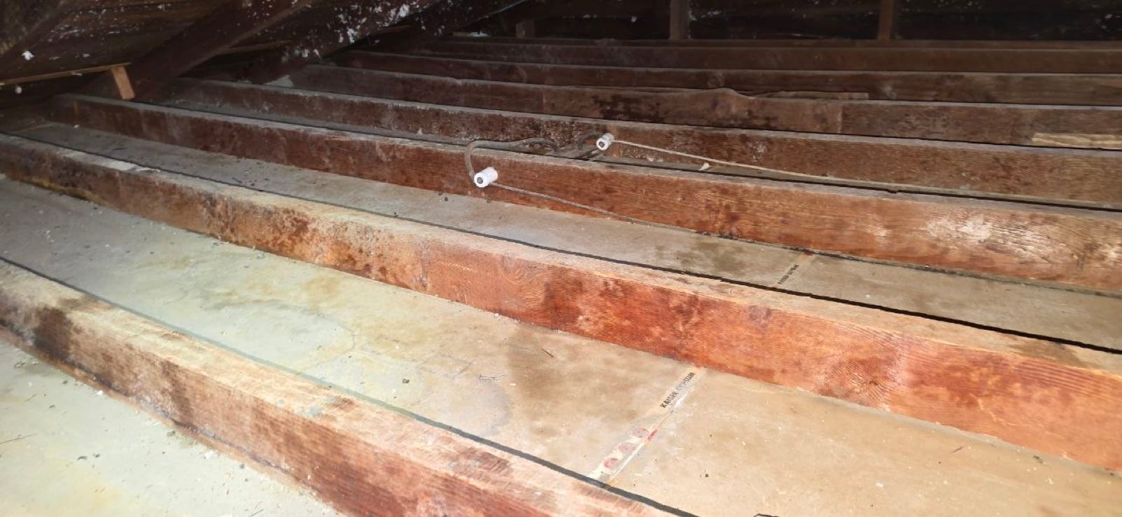 Martinez attic during sealing and rodent proofing