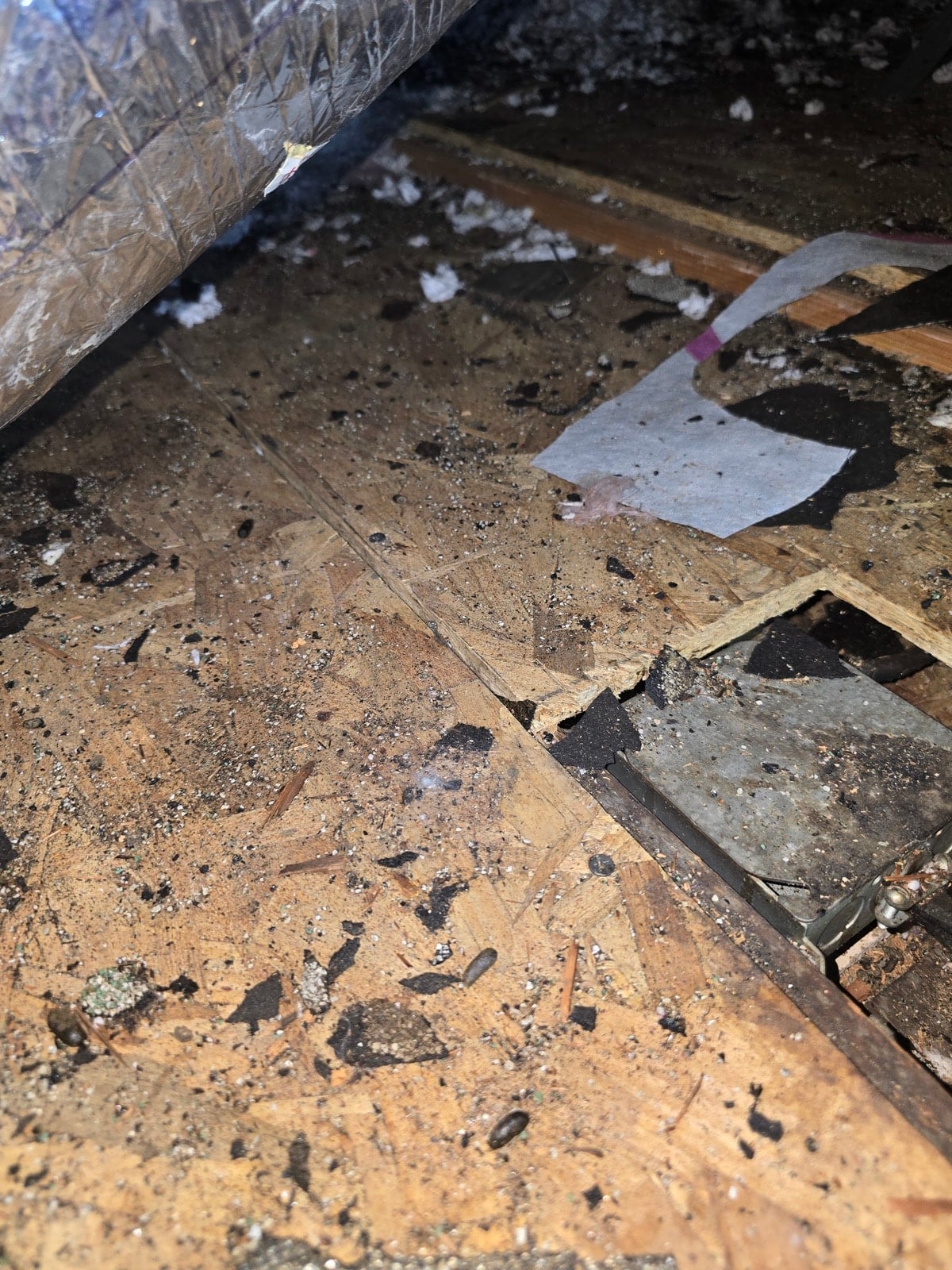 Monrovia attic before work — detail of the condition on arrival