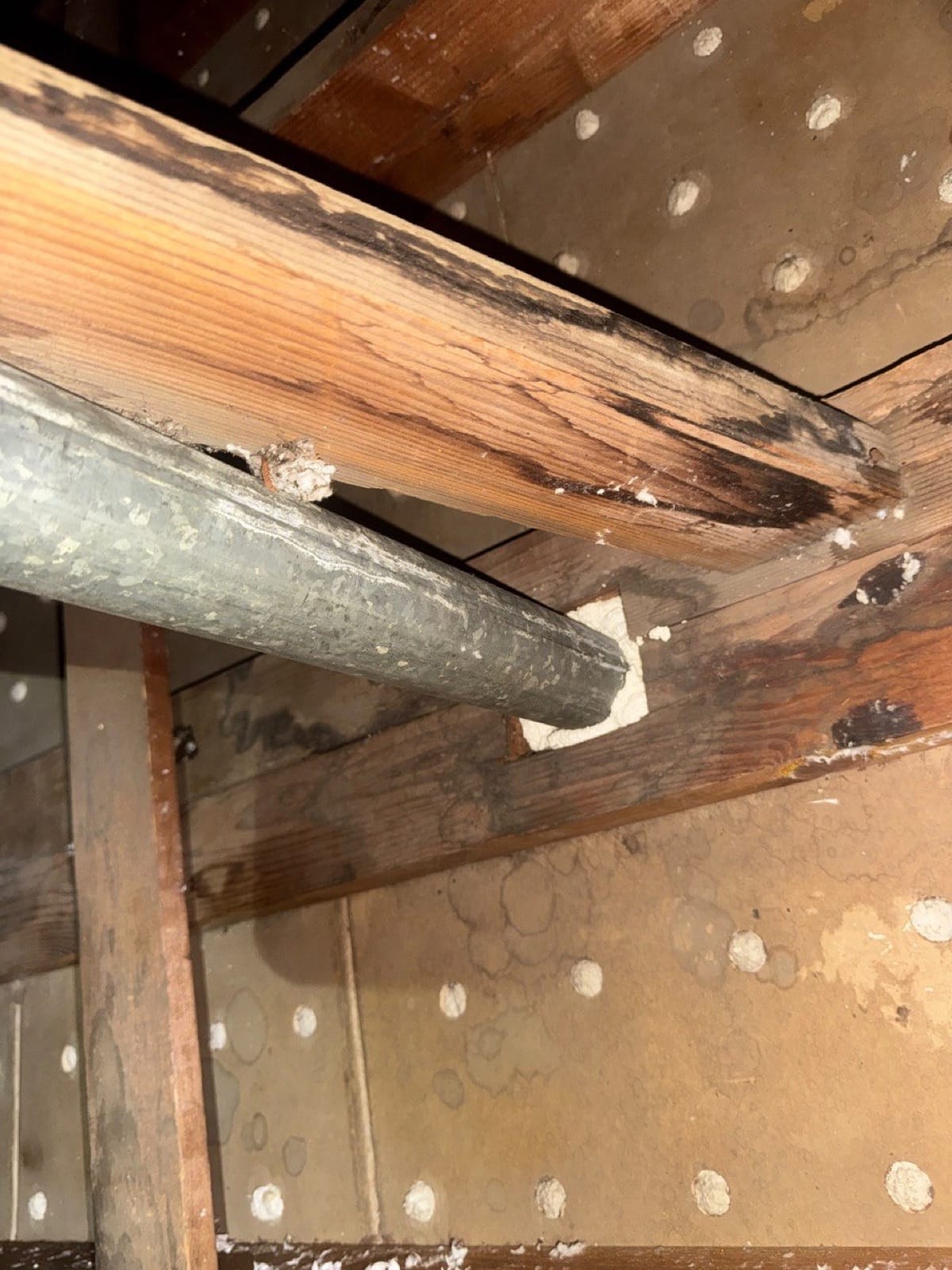 Monrovia attic with the new insulation going in