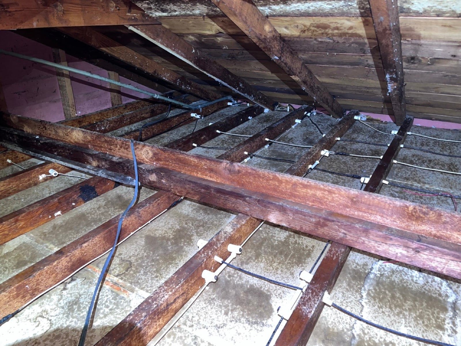 Redwood City attic during sealing and rodent proofing