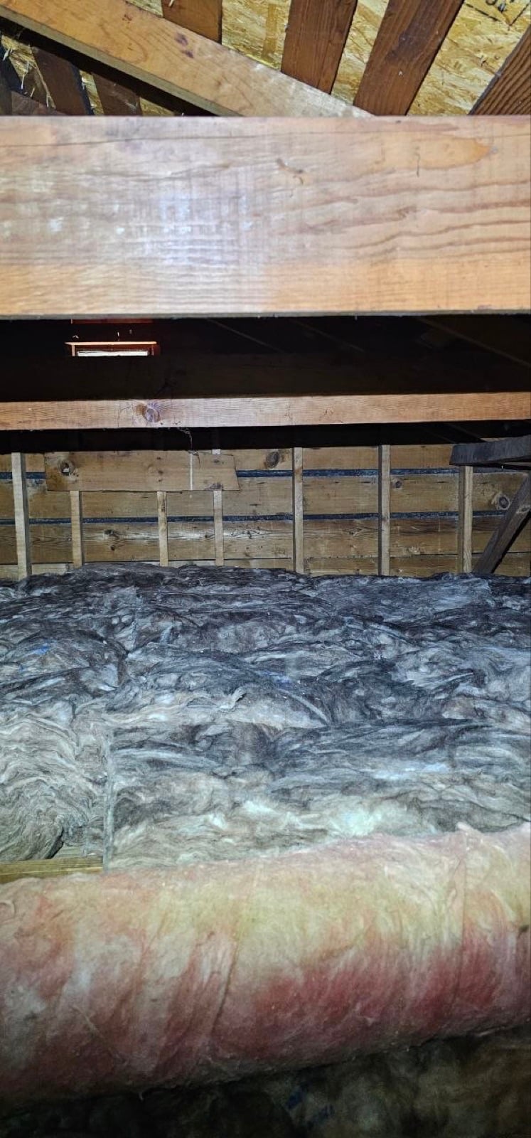 Completed Sacramento attic