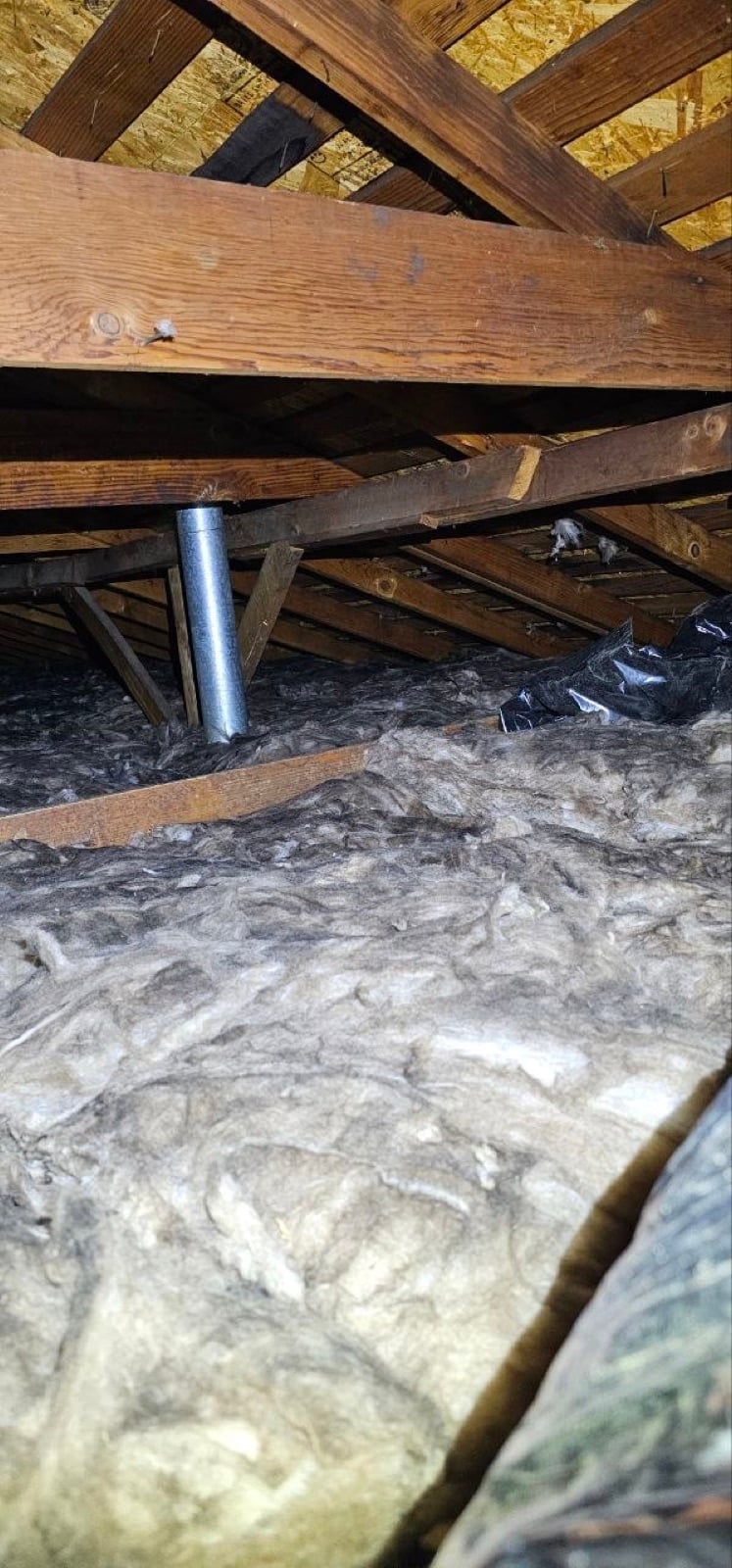 Sacramento attic before work — detail of the condition on arrival