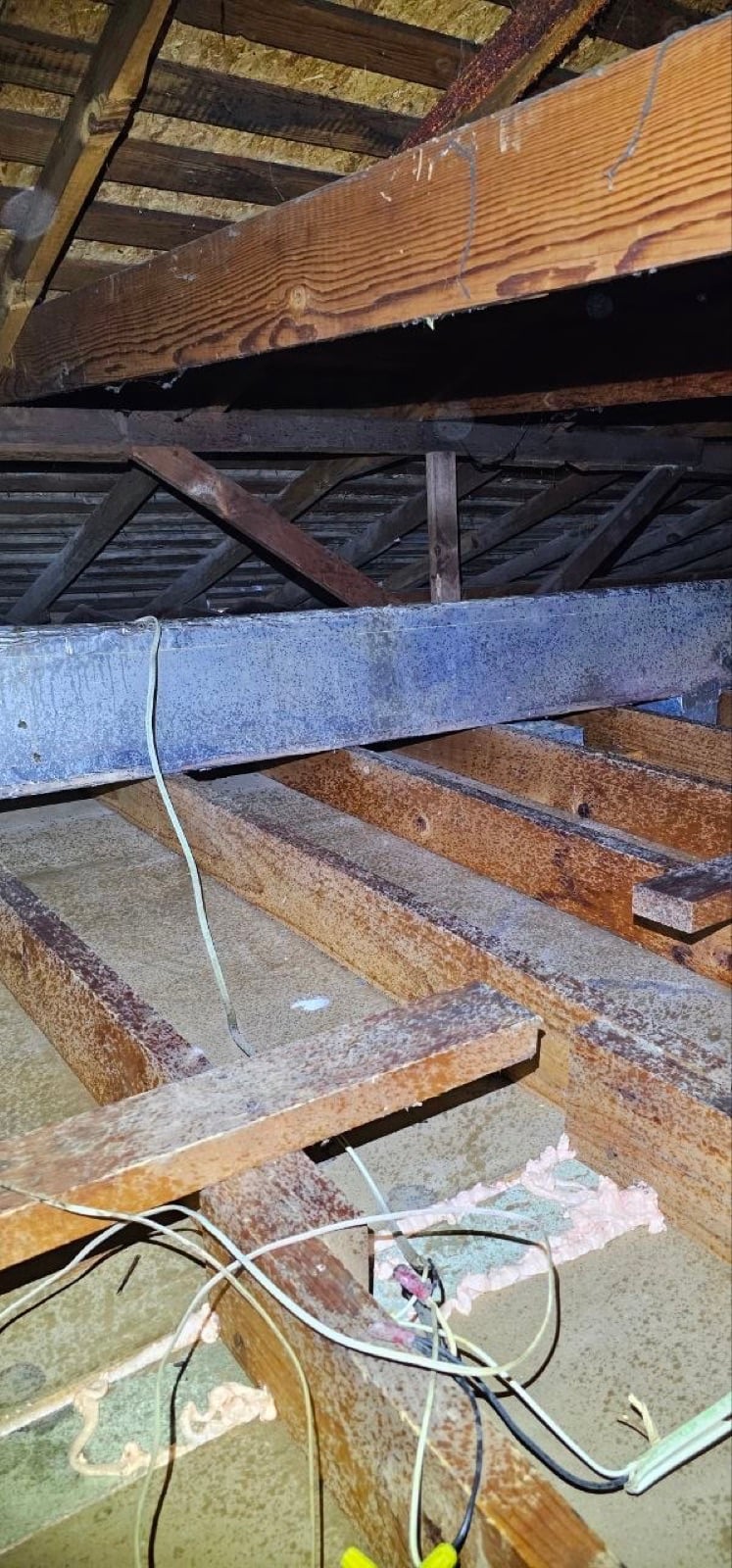 Sacramento attic during sealing and rodent proofing