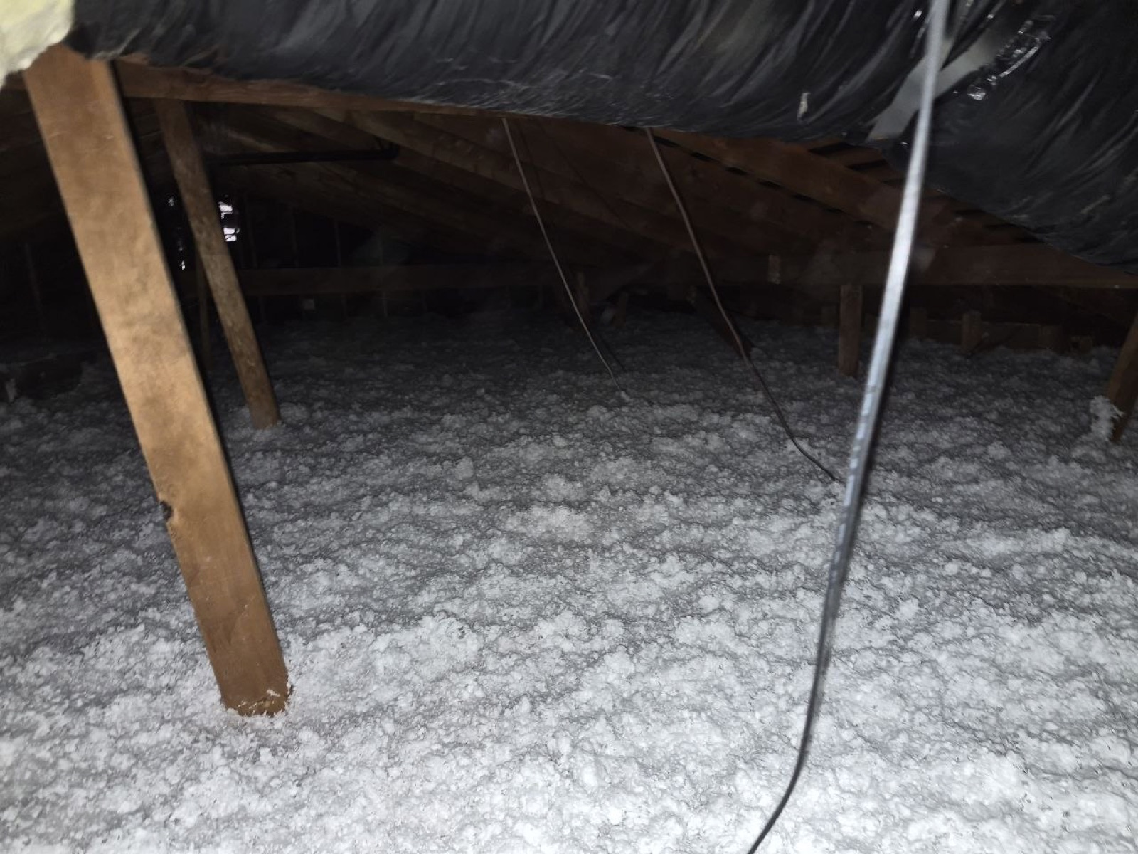 San Jose attic during sealing and rodent proofing
