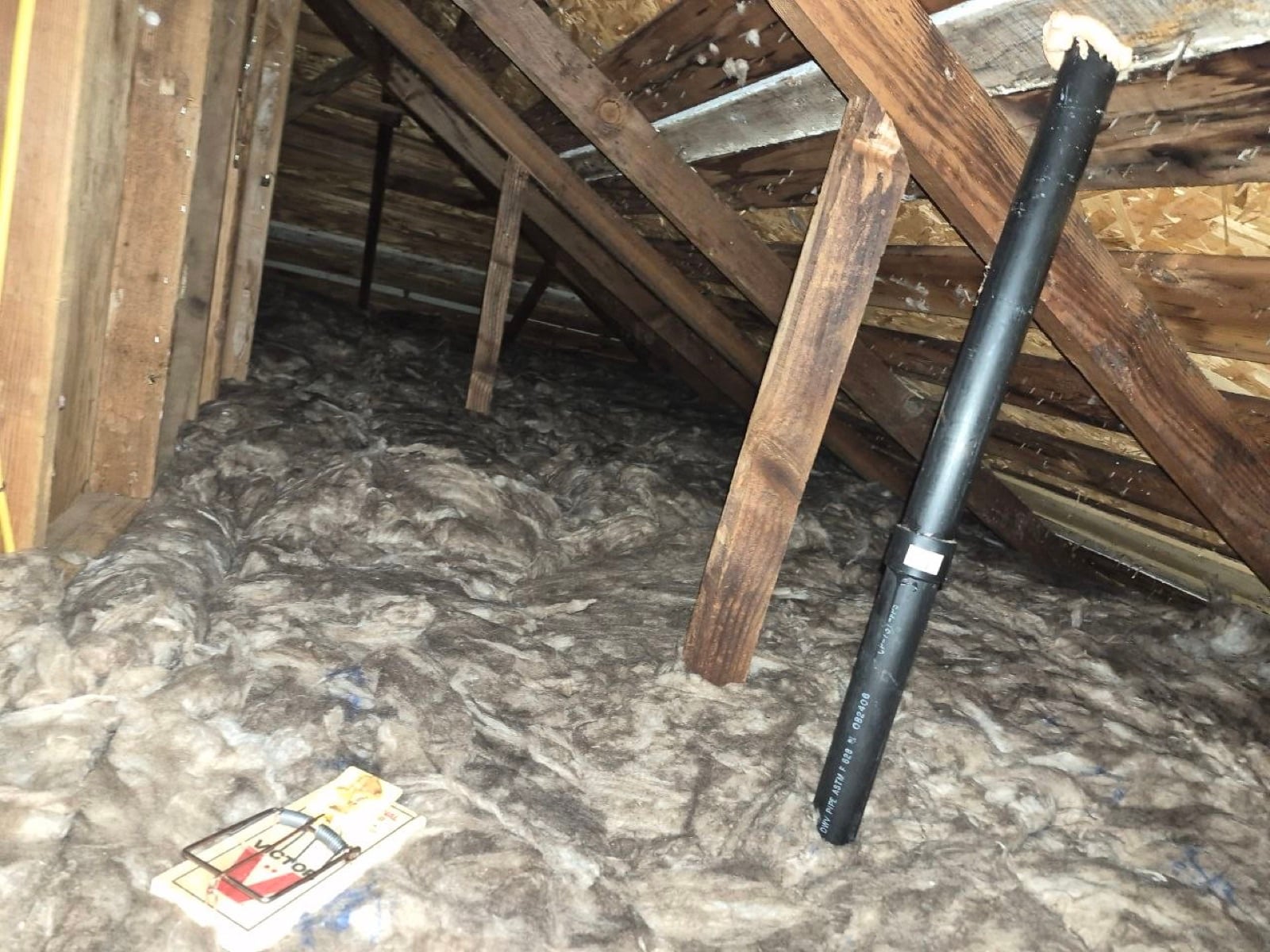 Attic Insulation Replacement and Rodent Proofing in Sonoma, CA
