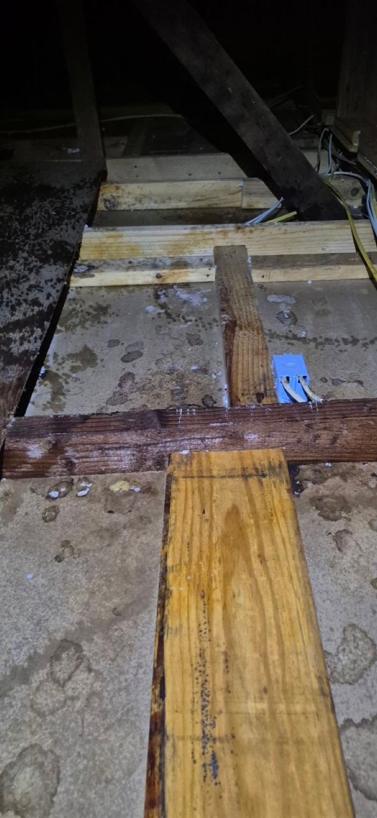 Sonoma attic before work began, showing the condition the crew found