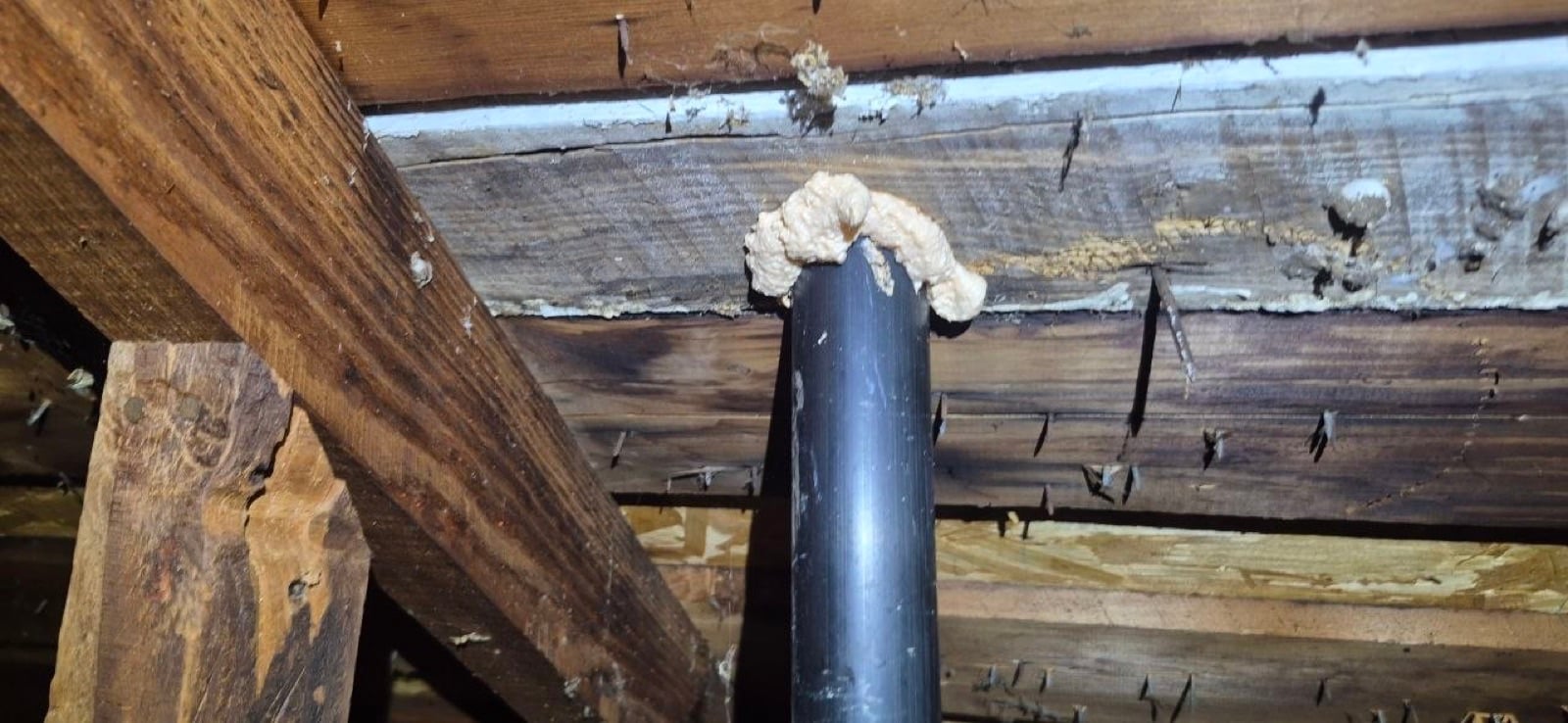 Early stage of the Sonoma attic job — clearing out