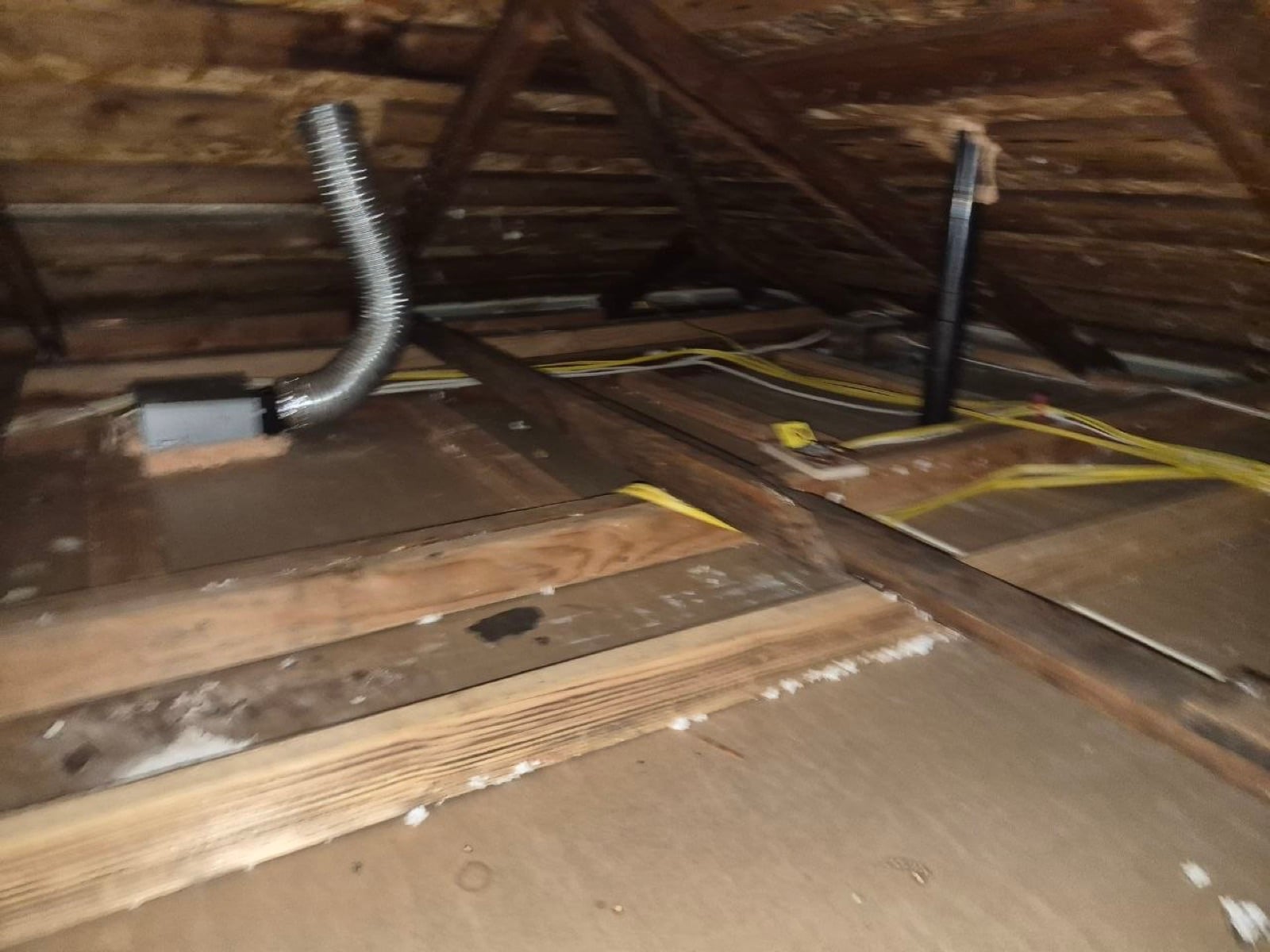 Sonoma attic during sealing and rodent proofing