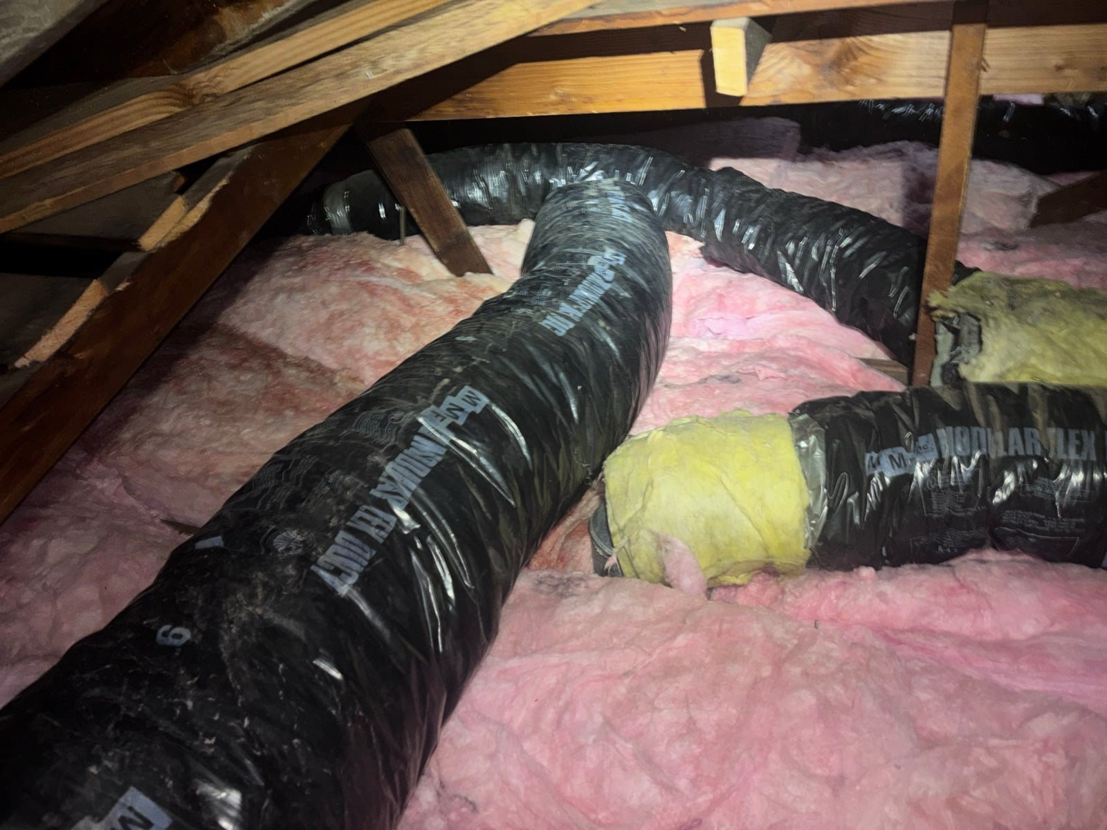Whittier attic and crawl space before work — detail of the condition on arrival