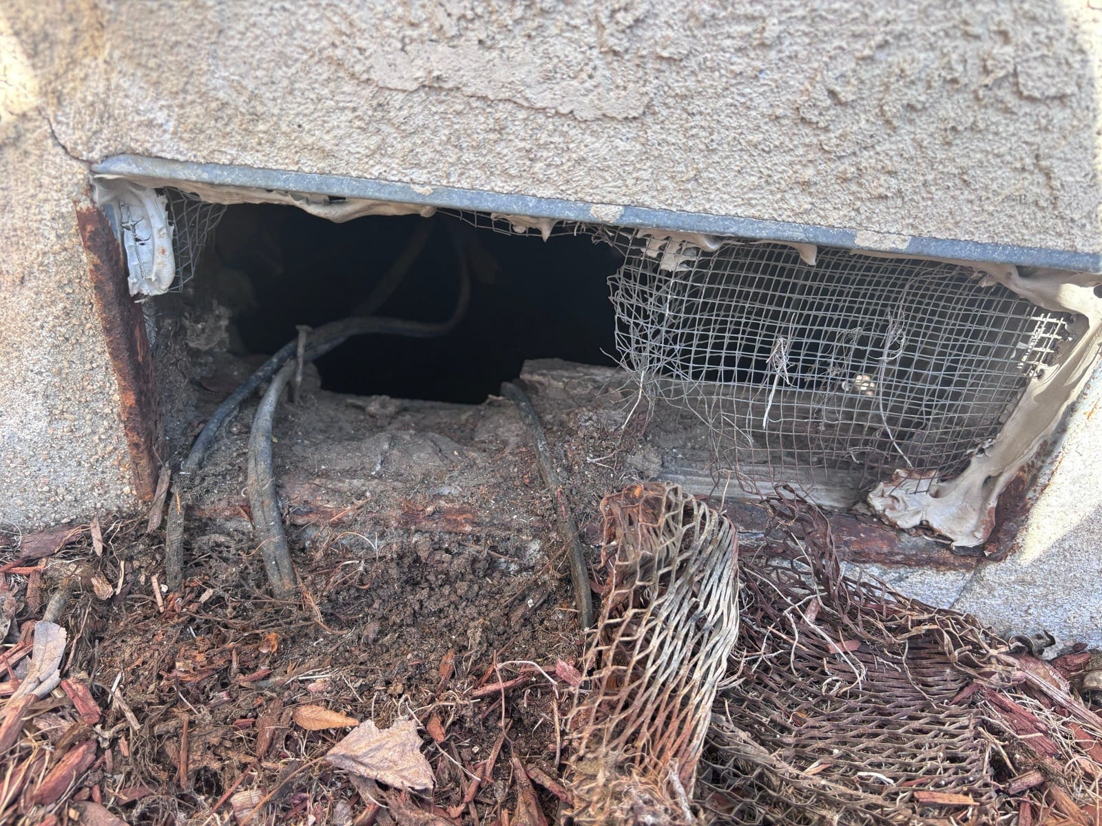 Early stage of the Whittier attic and crawl space job — clearing out