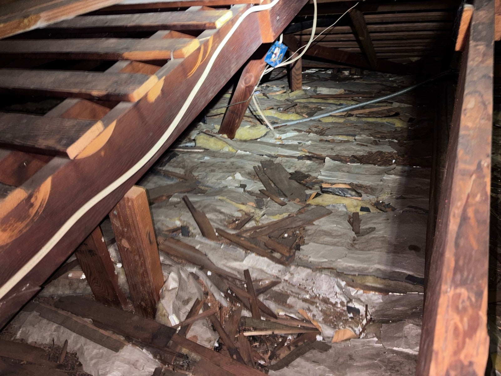 Whittier attic and crawl space during sealing and rodent proofing