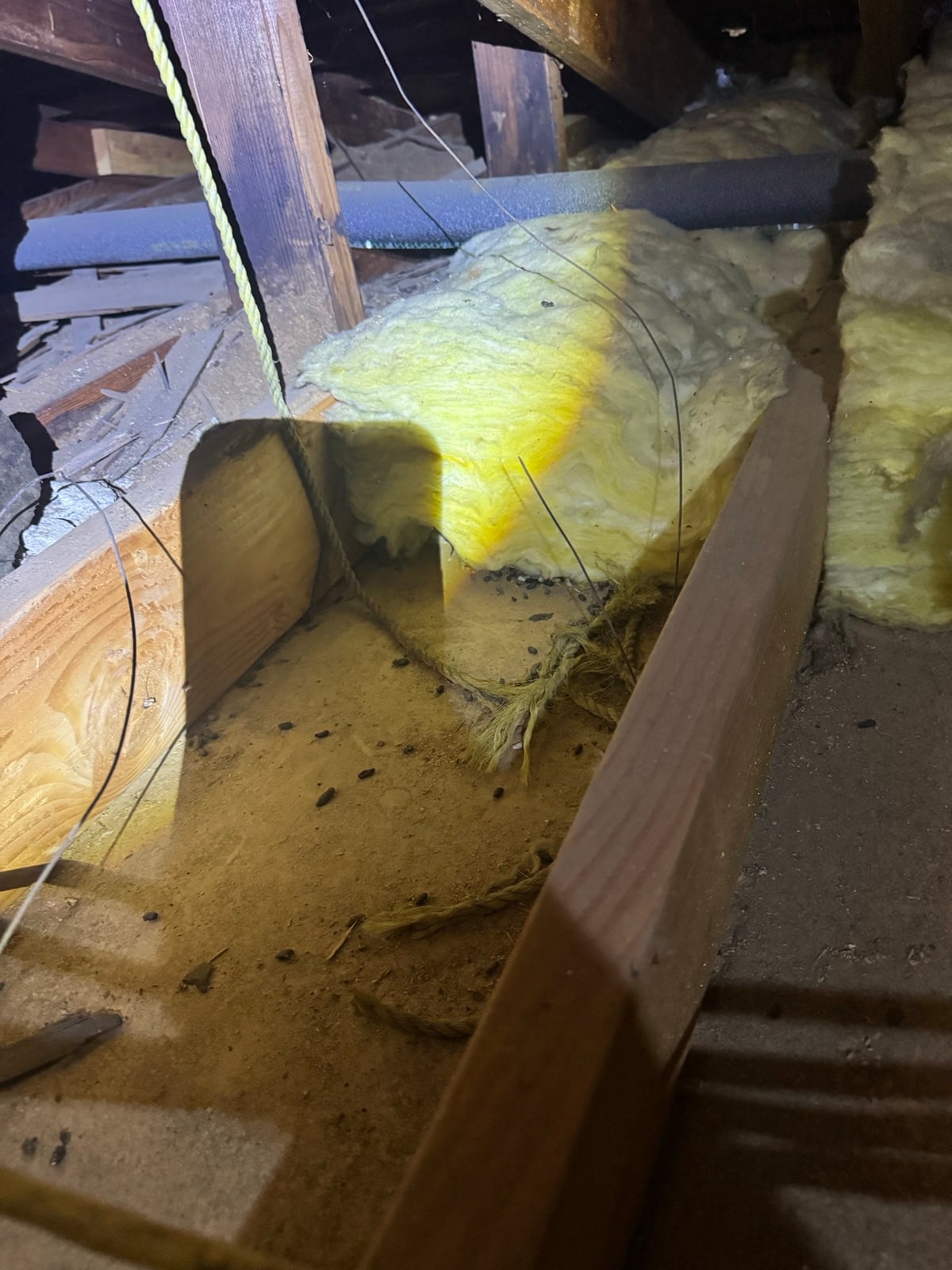 Alhambra attic before work began, showing the condition the crew found