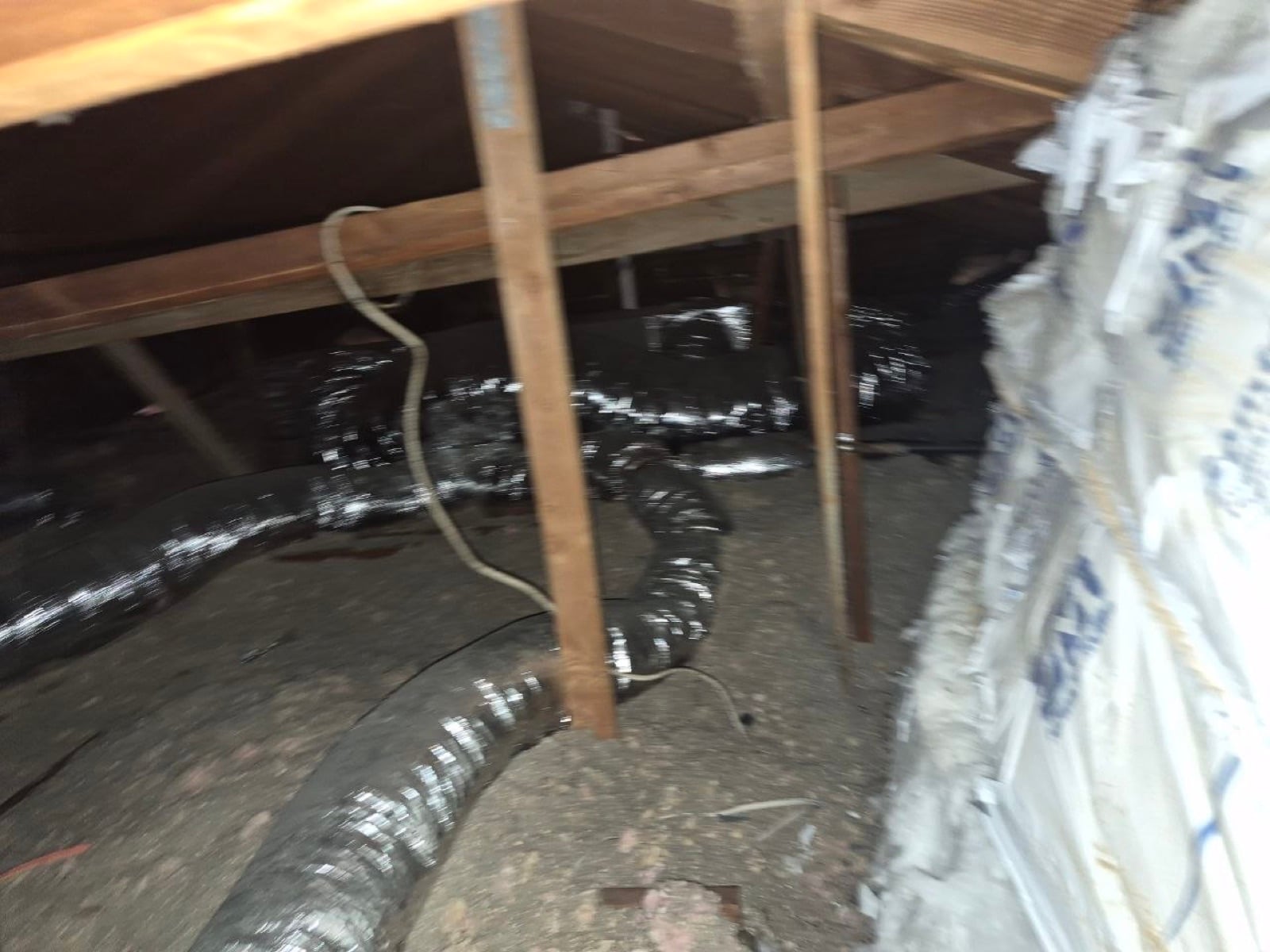 Completed Novato attic and crawl space