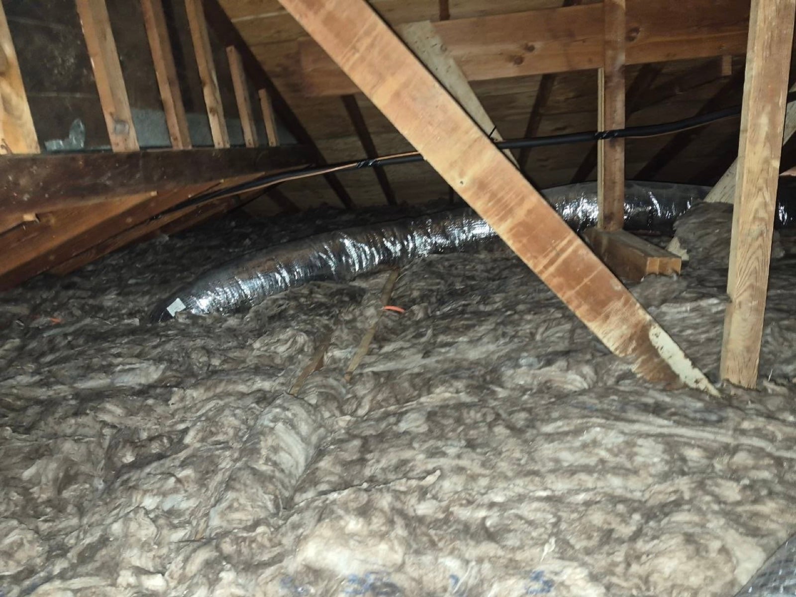 Novato attic and crawl space before work began, showing the condition the crew found
