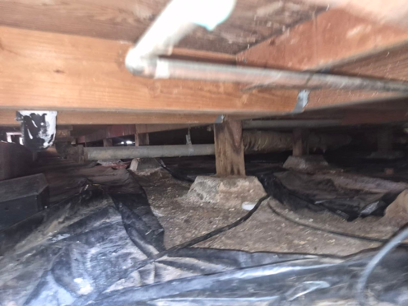 Novato attic and crawl space before work — detail of the condition on arrival