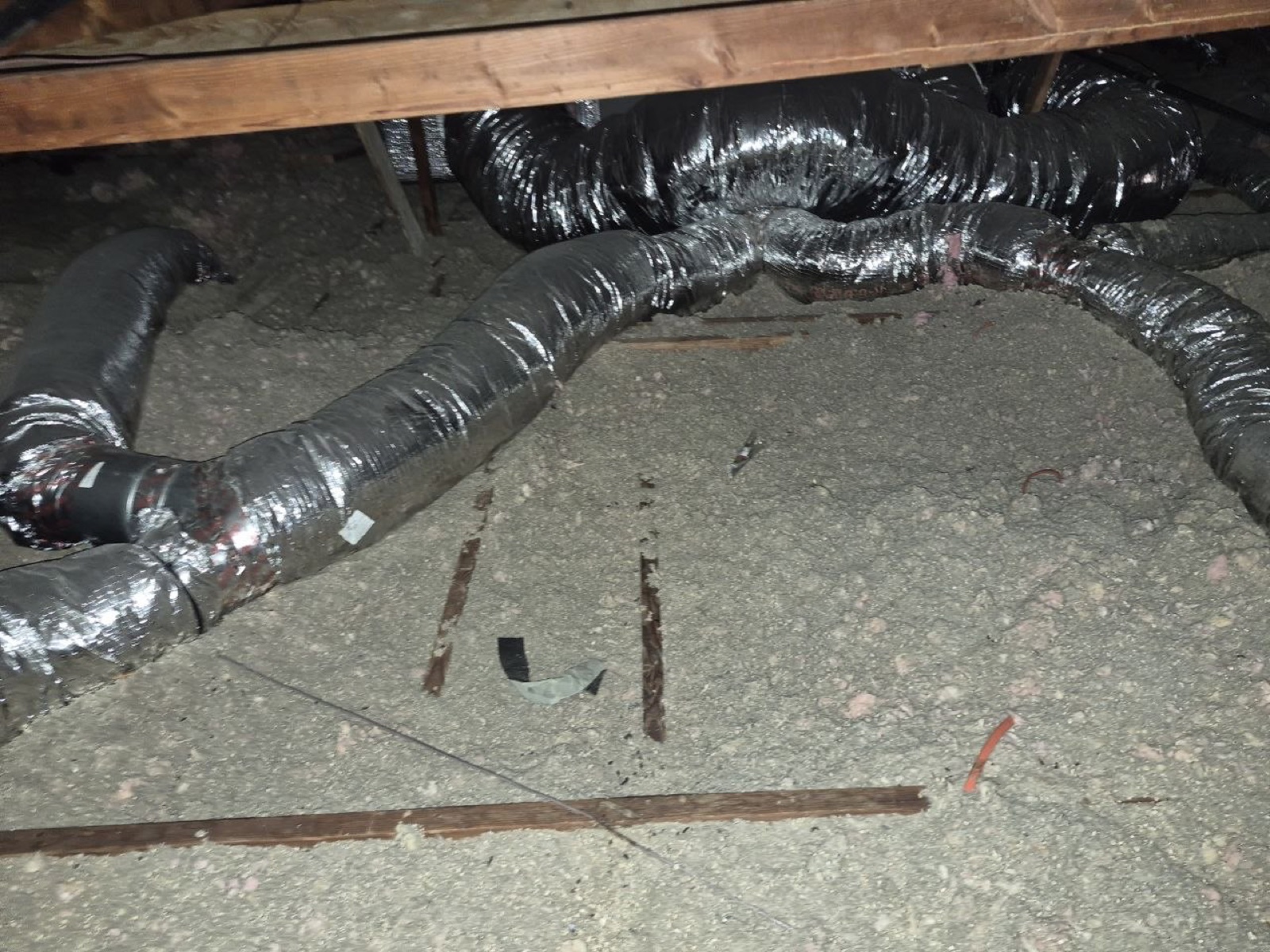 Novato attic and crawl space during sealing and rodent proofing