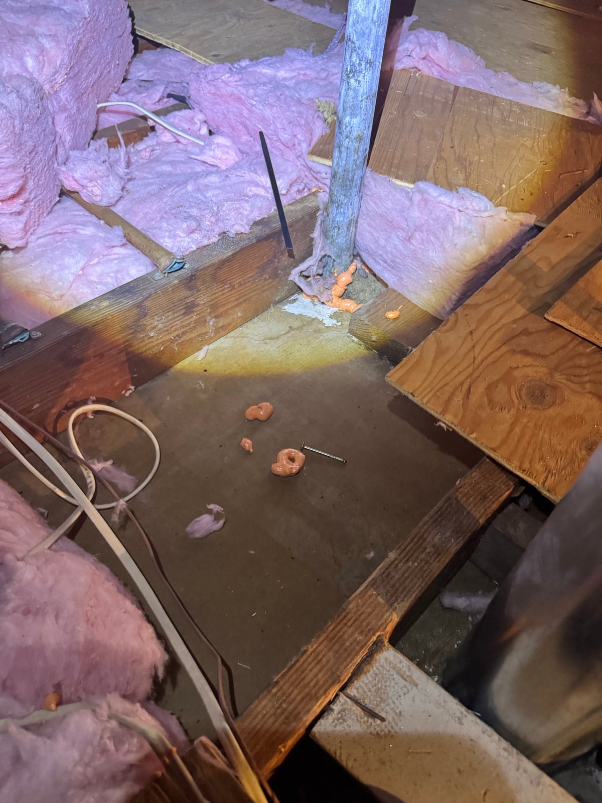 Fremont attic before work began, showing the condition the crew found