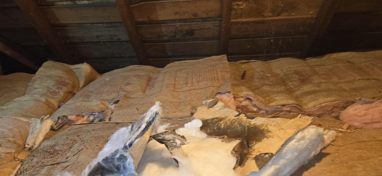 Berkeley attic before work: torn and soiled old batts