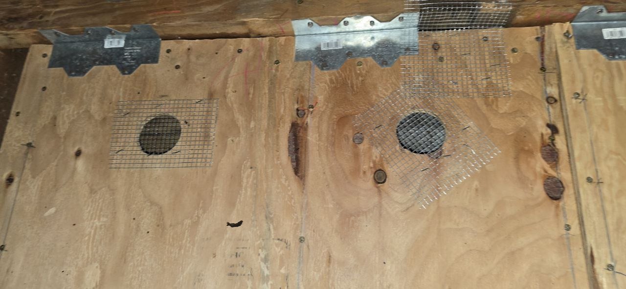 Rodent proofing: wire mesh fitted over openings in the crawl space wall