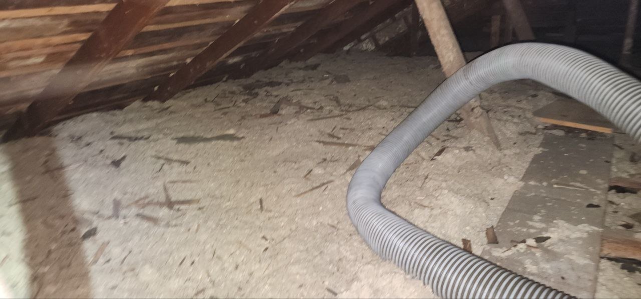 Old insulation being removed from the Berkeley attic