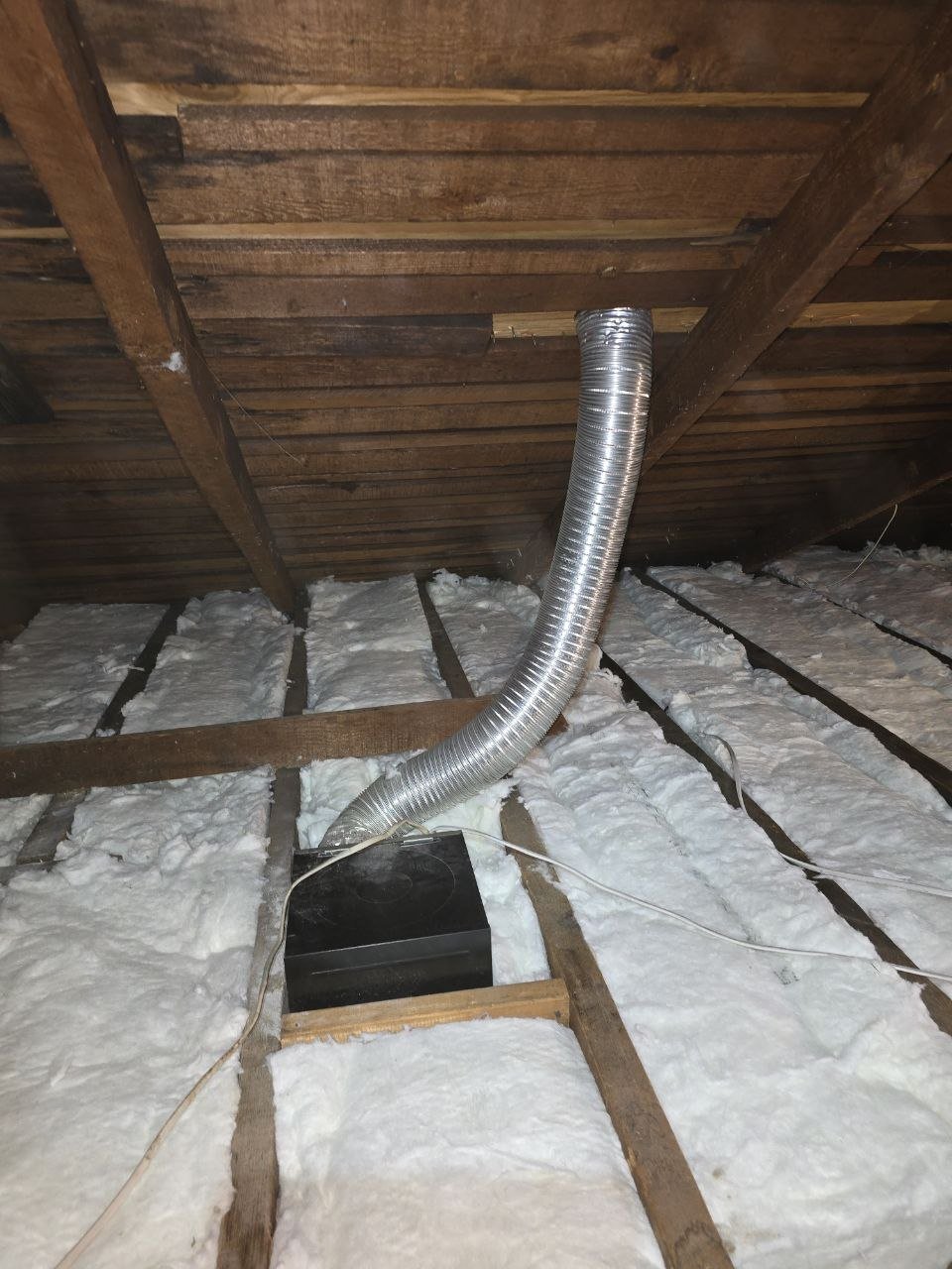Attic Insulation Replacement & Rodent Proofing in Berkeley, CA