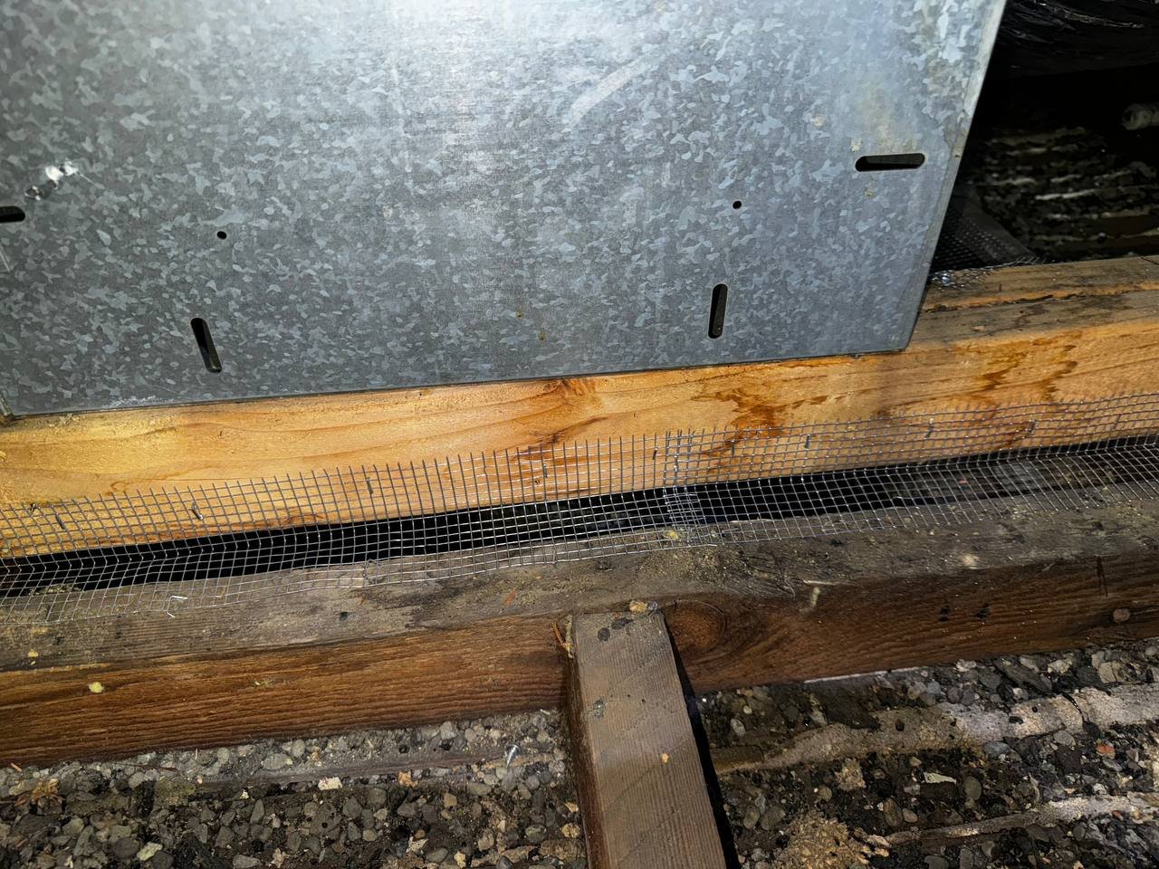Wire mesh rodent proofing at an attic edge in Berkeley