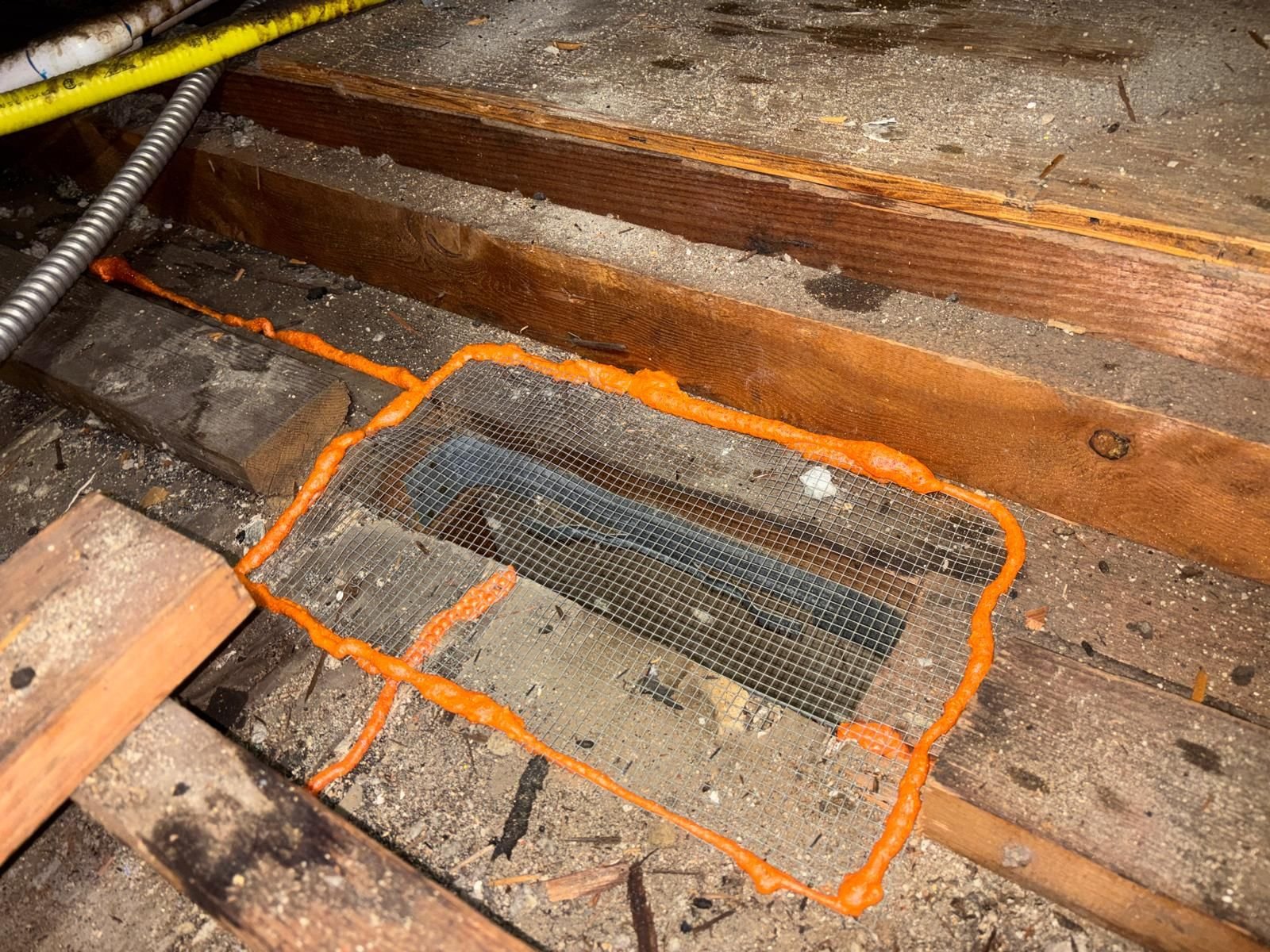 Attic vent sealed with wire mesh and foam in Burbank