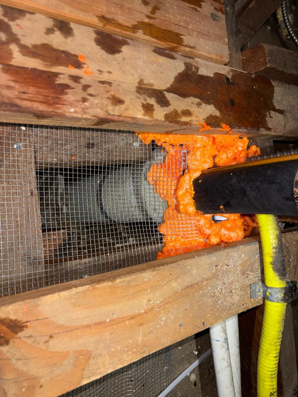 Wire mesh and foam sealing around a pipe in a Burbank attic